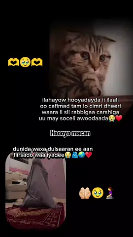 #igusoduceeya🙏🏾 hooyo mcn ilaahay cafimad tam kusii😭😭🤲🤲🧎‍♀️❤️🌏🫂#amiinyaarabi🤲😭😭 #hooyo_mcn🌏🥰 #MSS_INTIZA👸🕊💞 #mss_intiza👸🕊💞 #intiza_siman #CapCut 