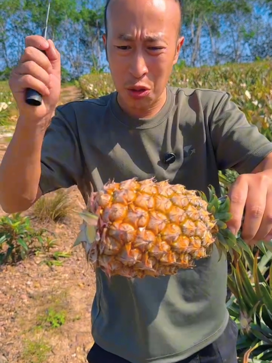 Pineapple cutting skills so fresh with natural landscape garden #fresh #life #pineapple 