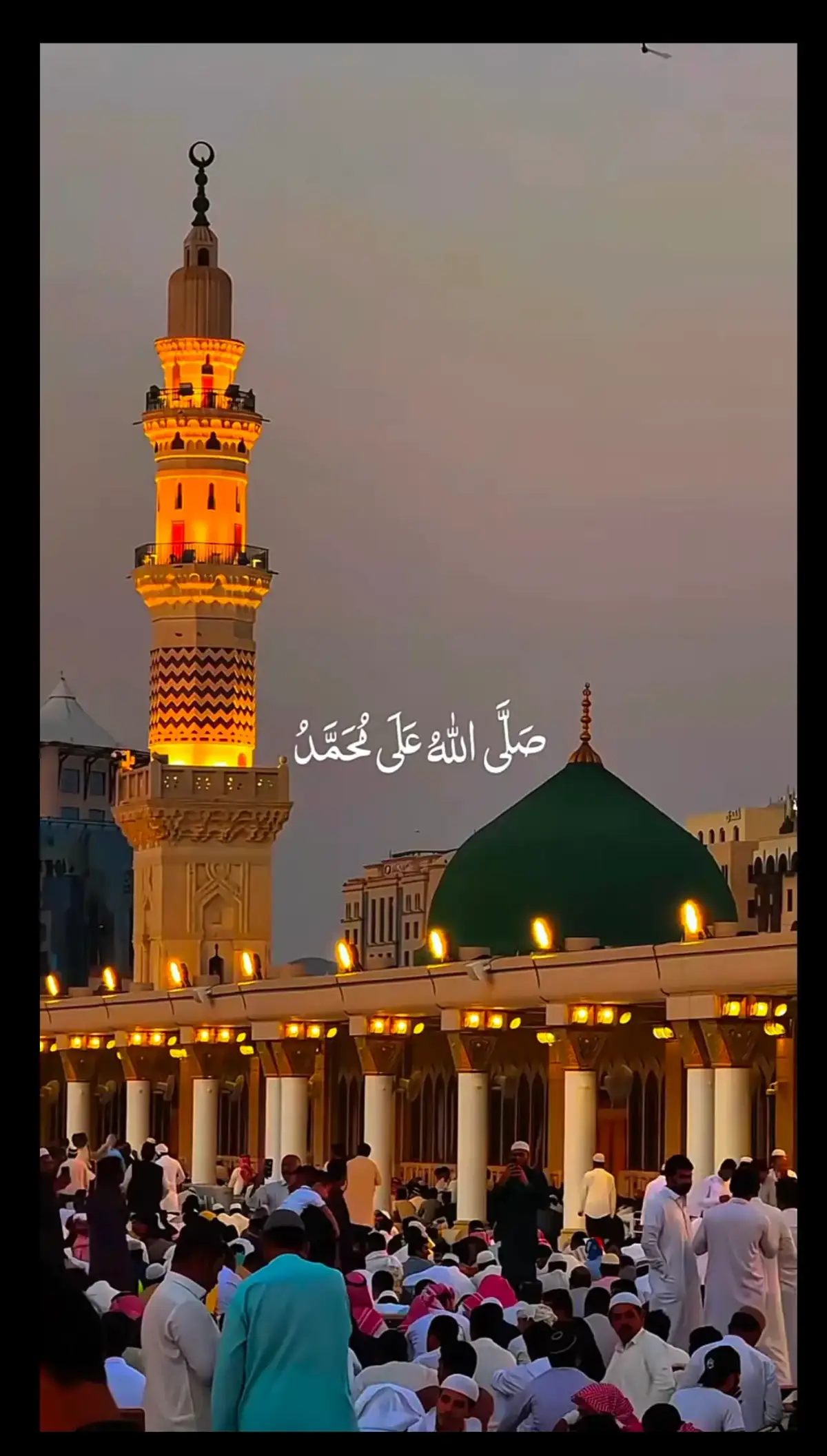 Durood#صلوا_على_رسول_الله #صلى_على_رسول_الله_صل_الله_عليه_وسلم #صلو_على_النبي_صلى_الله_عليه_وسلم #یارسول_اللہؐ_تیرےچاہنےوالوں_کی_خیر #🤲🏻🤲🏻🤲🏻🤲🏻🌹🌹🌹🌹🌹🕋 #foru #forupage #fyp #fypシ゚ #fypシ゚ #fypシ゚ 