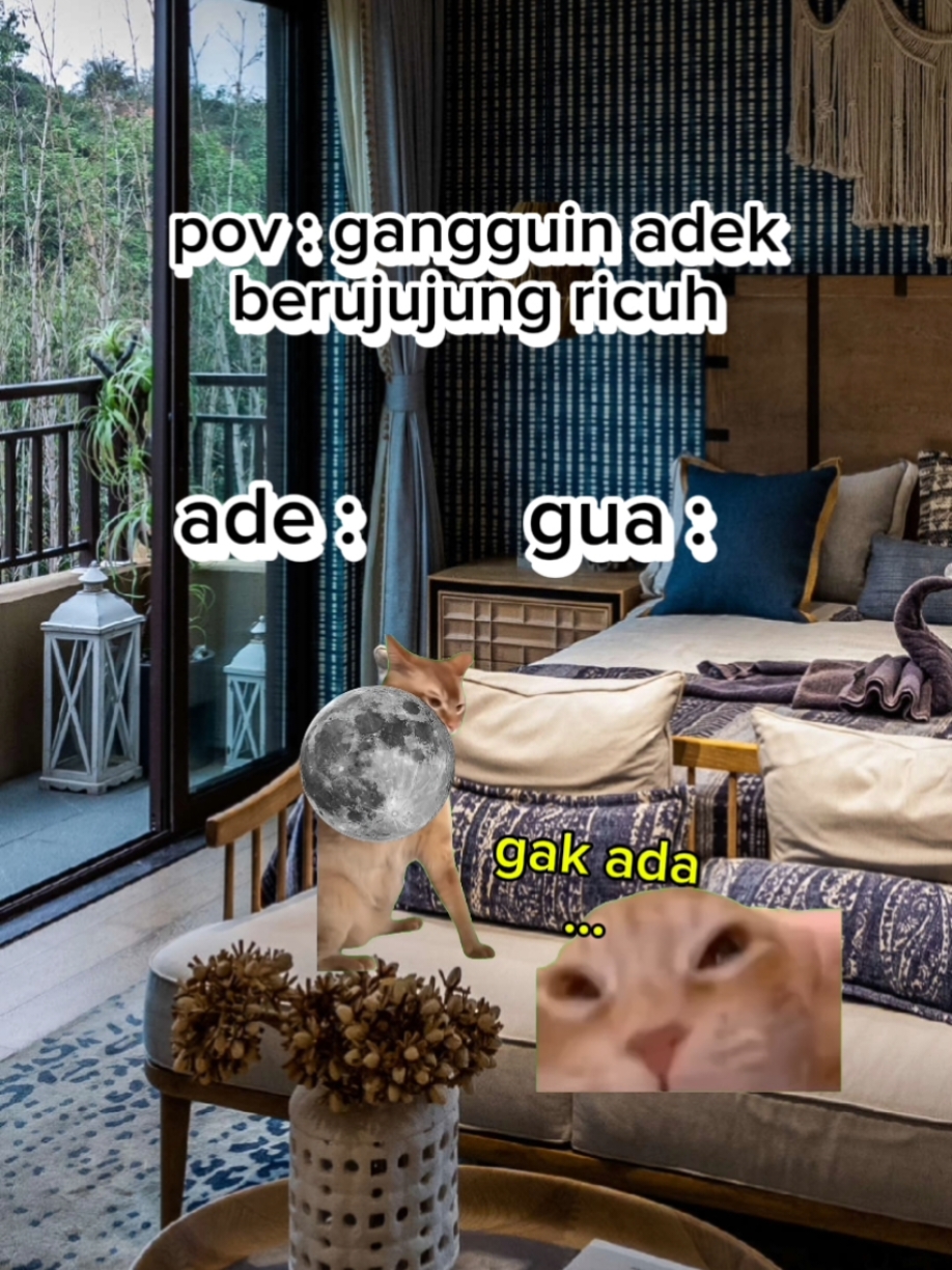 gangguin ade#memekucing #kucingtiktok #fyp #lewatberanda #catlovers 