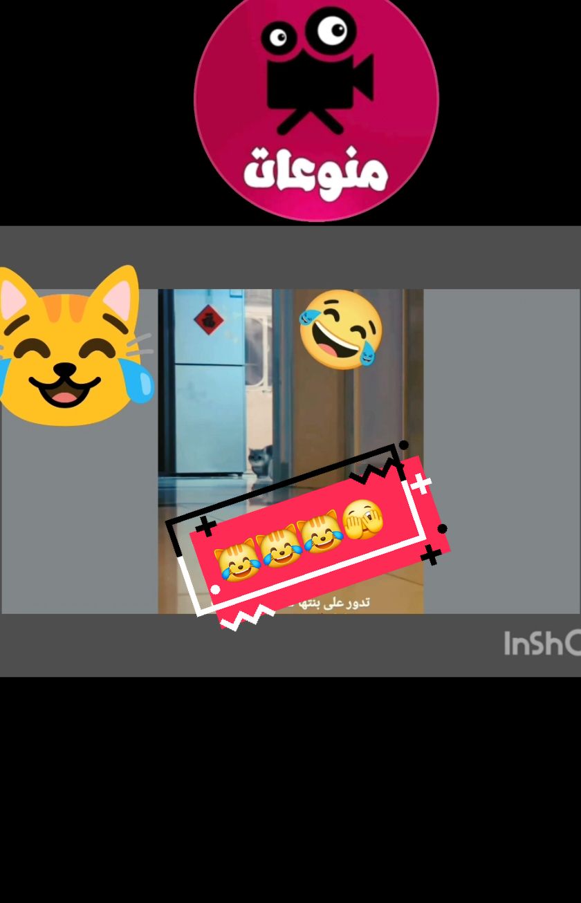 #قطط #موقف_مضحك #الضحك #tiktok  #video • #rigolo • #jokelikebro • #اكسبلور_explore • #lol #pppp1341sgf 