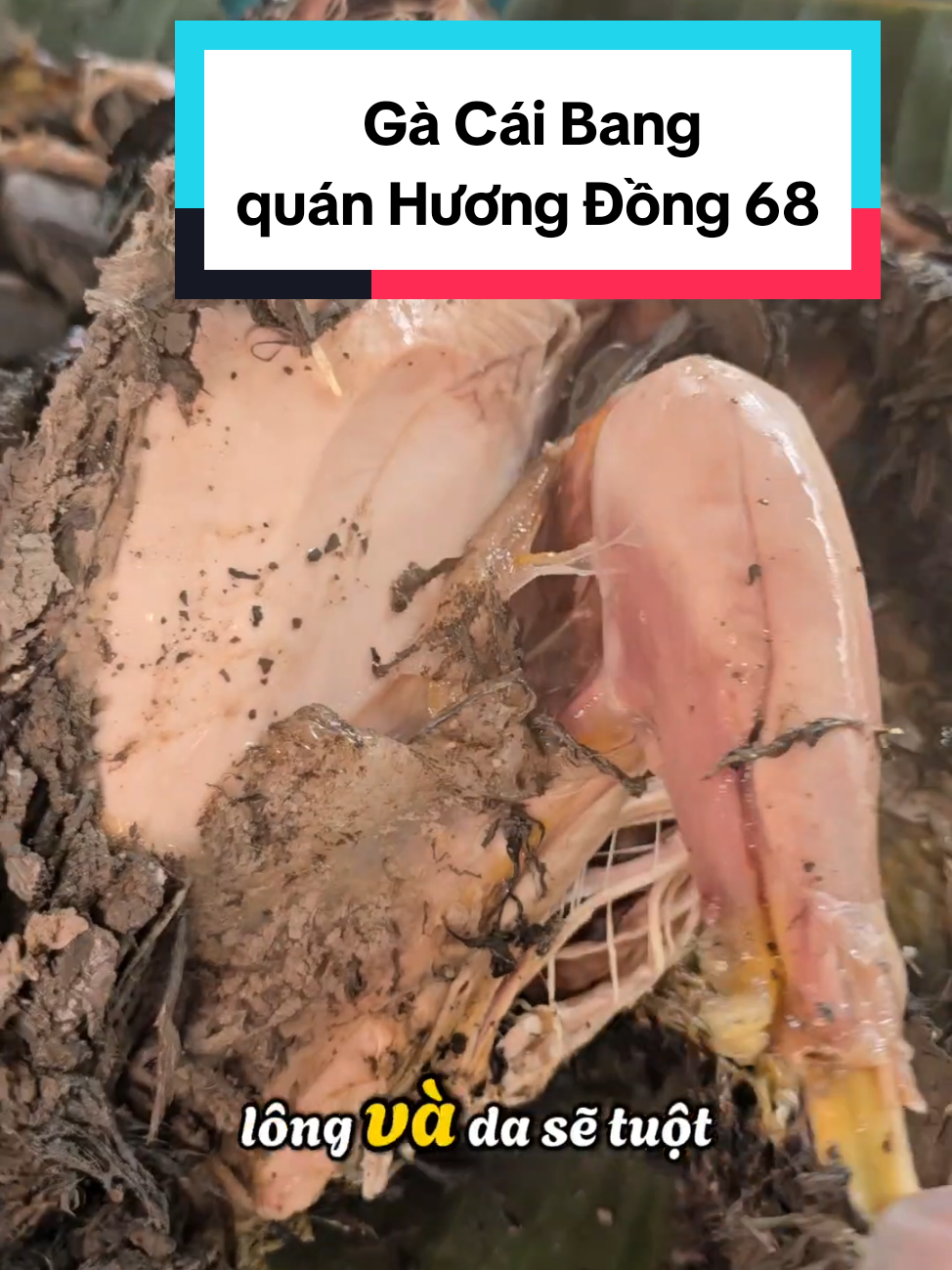 Gà Cái Bang phiên bản rặt đi đồng Miền Tây #nguyentrungduong #canthocreator #papabimsua #papadongcon #tiktokfood #vietnamesefood #FoodFestonTikTok #ancungtiktok #hômnayăngì #gàcáibang #cốngnhum #baba #rắn #cálócđồng #ănngon 