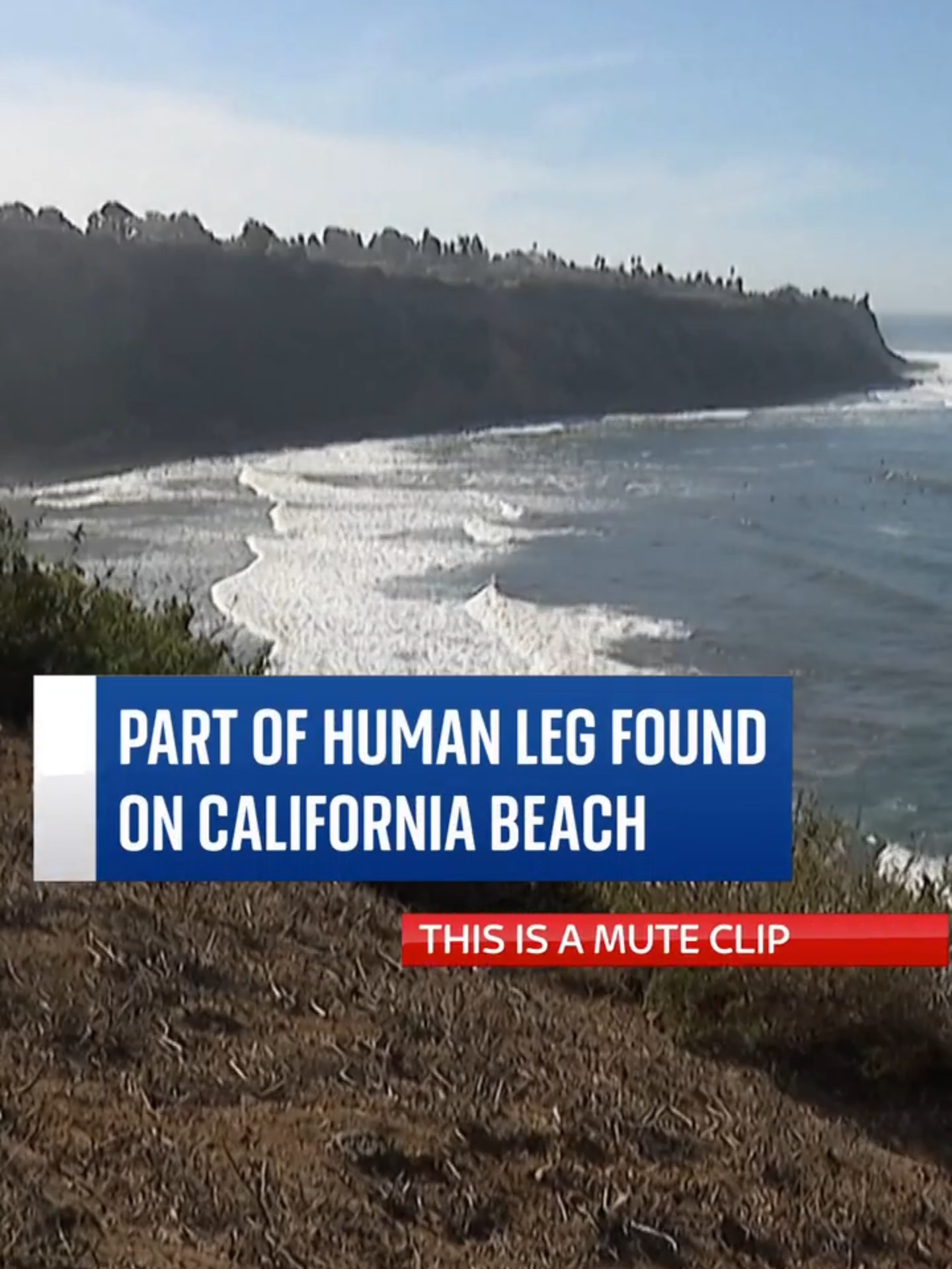 Part of human leg has been found on #California beach. The finding is described as 