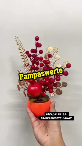 Pampaswerte sa bahay at negosyo #pampaswerte #pamahiin #fortune 