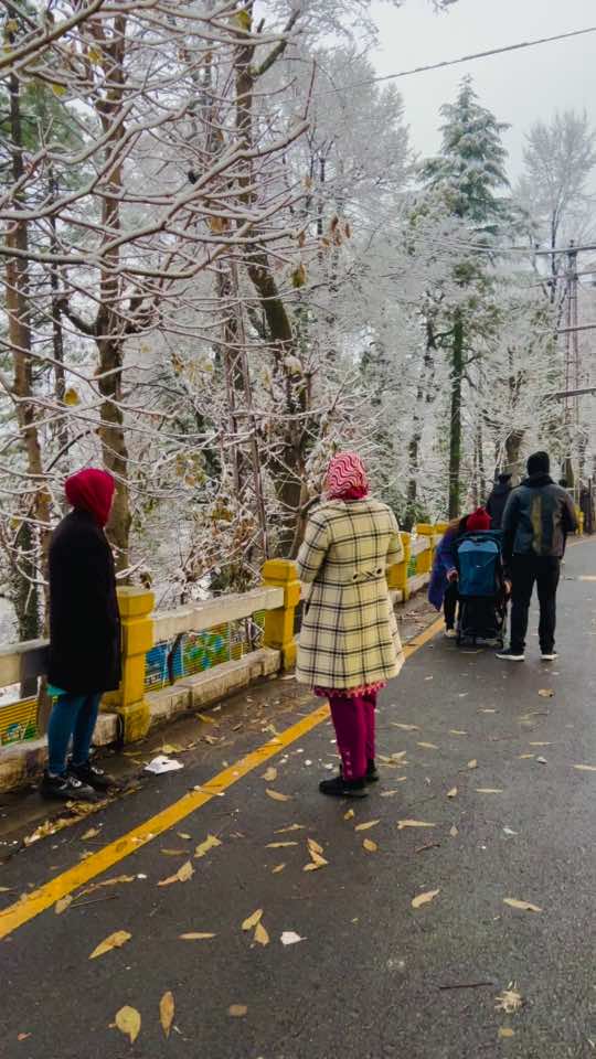 2 Days Murree + Galyat Trip Special for new Year Night Departure 30 Dec Night From LHR✨❤️🥰#peaktours #peaktoursislamabad #murreebeautifulview #besttravelcompany #murreesnowvedios #murreesnowfall 