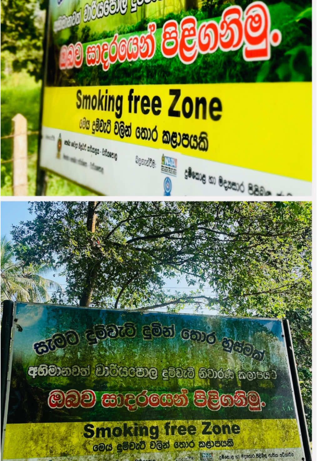 අපි හැදෙමු . පොඩි තැනින් පටන් ගමු රැල්ලක් කරමු 🫂🫂❤️❤️#අපිහැදෙමු #clean_srilanka #foryou #foryoupage #cleansrilanka🇱🇰 #🥰🥰❤️❤️❤️❤️ #anurakumaradissanayaka #trending #වාරියපොල_අපි🥰😘😍❤👍 #CapCut #CapCut #apihedhemu @Anura Kumara Dissanayake 