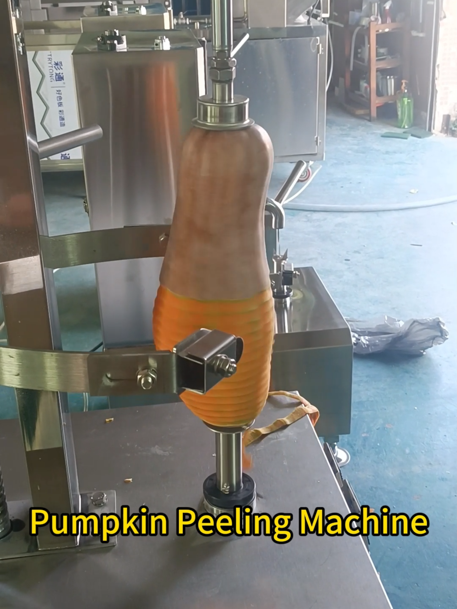Pumpkin Peeling Machine #peelingmachine #pineapplepeeling #foodmachinery #peeling