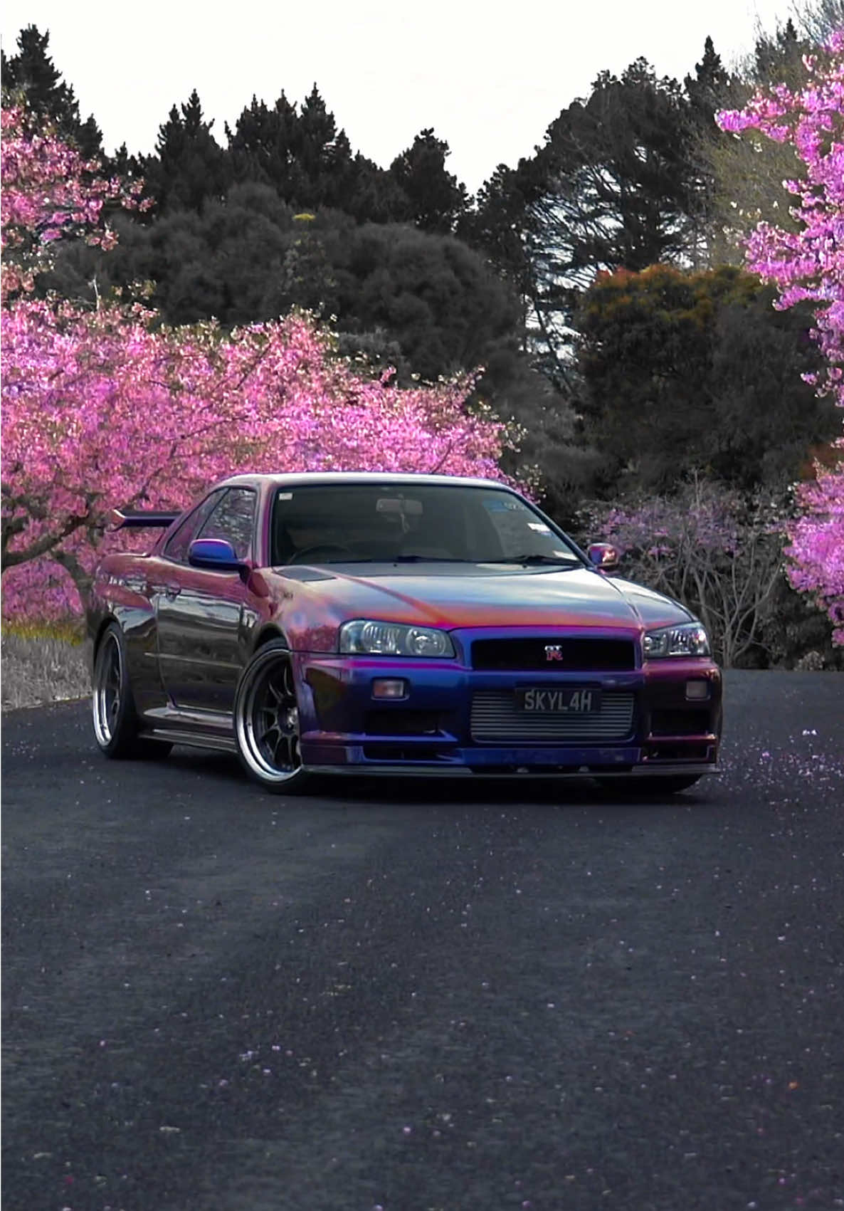 Cherry Blossoms 🌸 Nissan R34 GTR 💜 📸 @Jackson  🚗 @jawsh 685  #capcut #capcutholiday #capcutwithlove #gtr #skyline #jdm #nissan #caredit #cartok #boost 