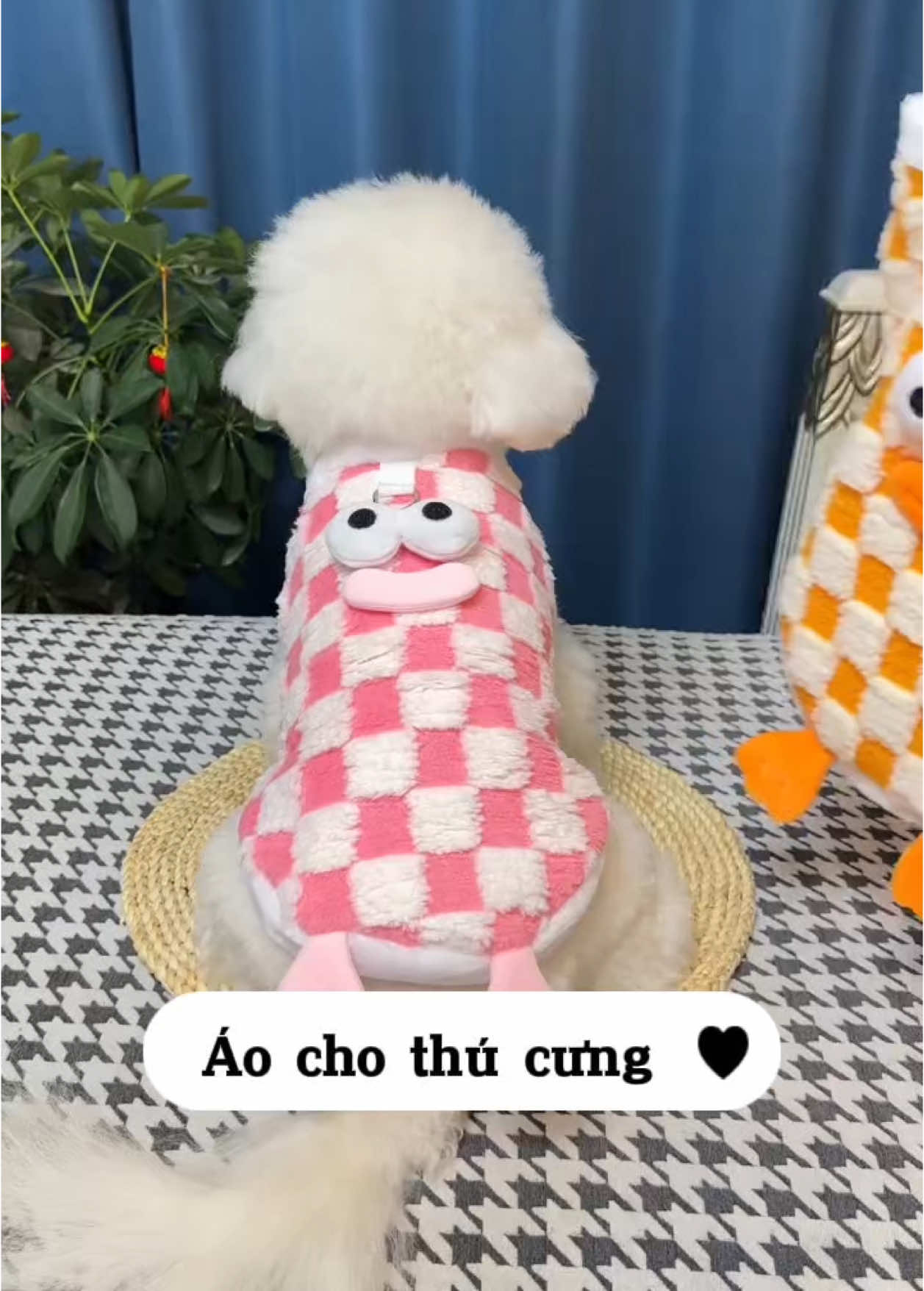 Lên đồ xinh thôi Sen ơi 🐶 #quanaothucung #quanaothucungcute #quanaochomeo #cunyeu #fyp #dog #pet #thucung #poodle #bunquystoc 