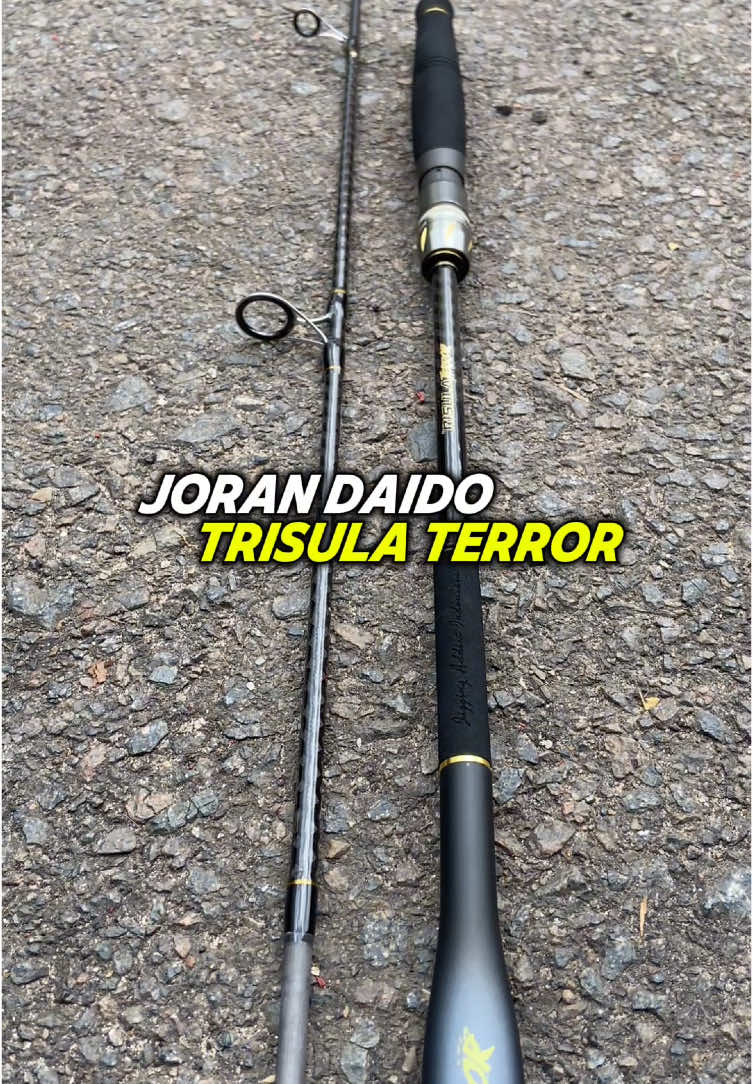 joran daido trisula terror cakep banget ni bossku#joranpancing #joranspinning #jorandaido #mancing #mancingmania 