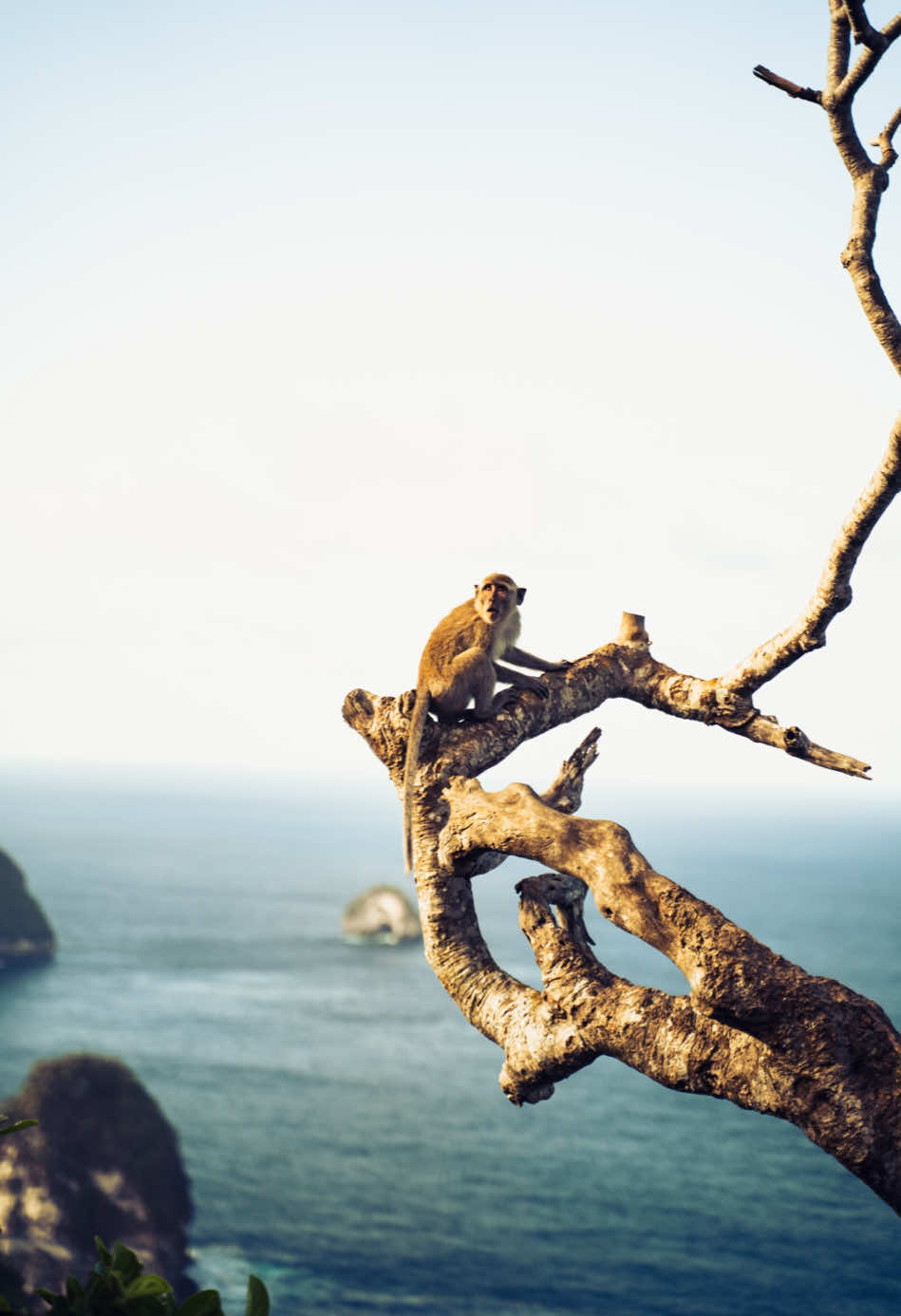 Lost in Wonderland, Nusa Penida Island 🏝️ . . . #bali #nusapenida #indonesia 