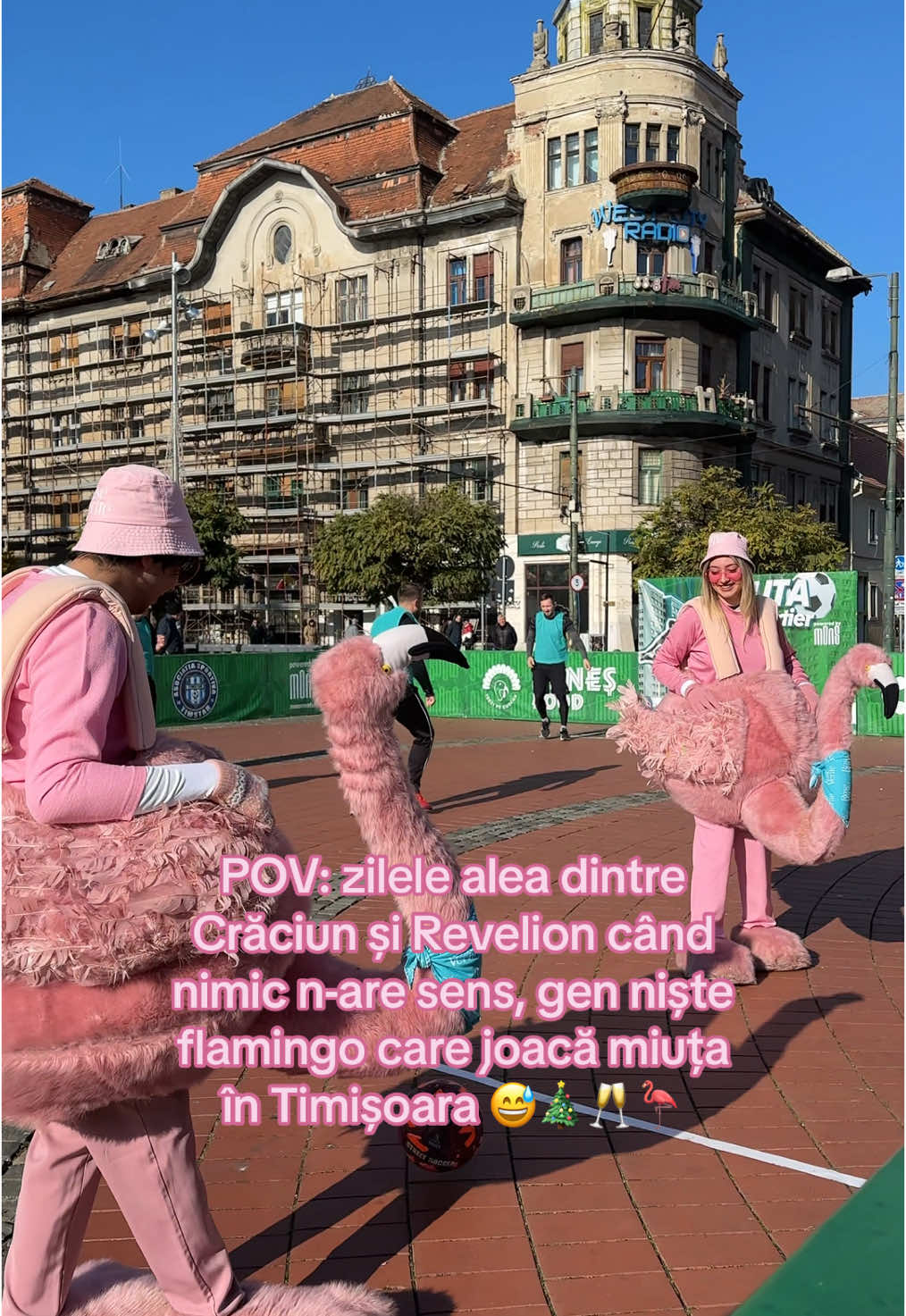 Și, voi ce mai faceți zilele astea? 😂 #365deziledevara #LaVidaEnRose #flamingointurulromaniei #timisoara #miuta #sarbatori #funny #beciuldomnesc 