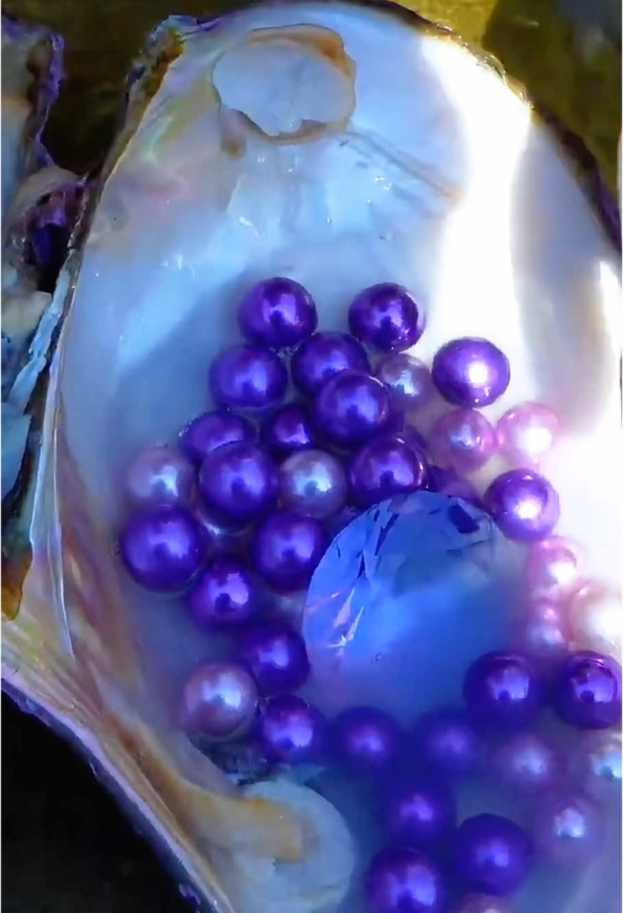 😱Open the giant purple clam, filled with precious purple pearls, so beautiful that it's mesmerizing #pearl #pearlhunter #seafood #jewelry #pickingpearls #huntingpearl #fyp #foryou #tiktok 