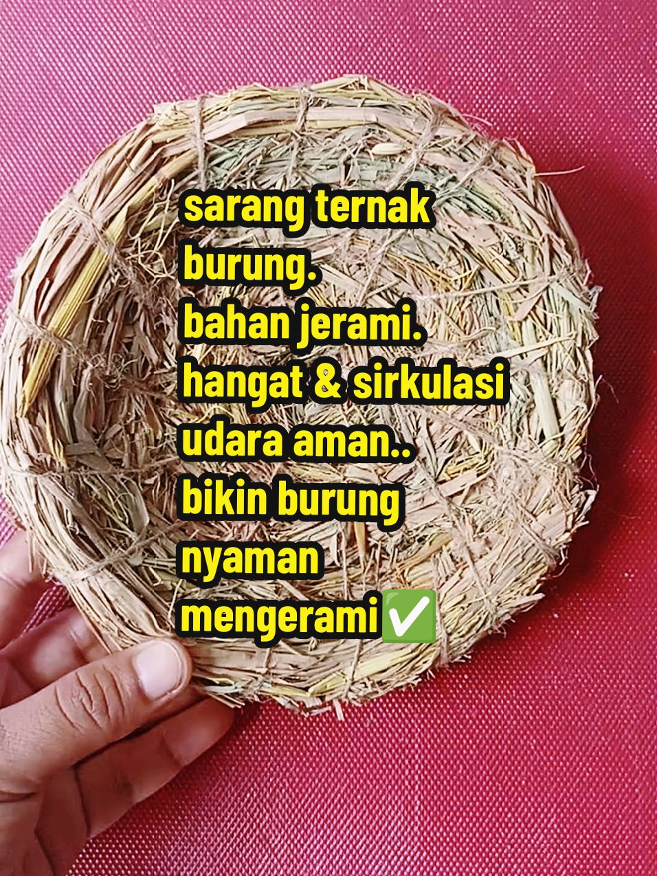 sarang jerami. buat ternak burung. ukuran lebar 20 cm. #sarangburung #sarangburungjerami #sarangjerami #ternakburung #tempatsarangburung #sarangburungkenari #sarangburungmurai #sarangburungkacer #ternakkenari #ternakkacer #ternakmuraibatu #ternakfinch #sarangburungternak #wibgajian #yearandsale #promoguncang11 #gilagilajualan #cuantanpabatas #kicaumania #kicaumaniaindonesia 