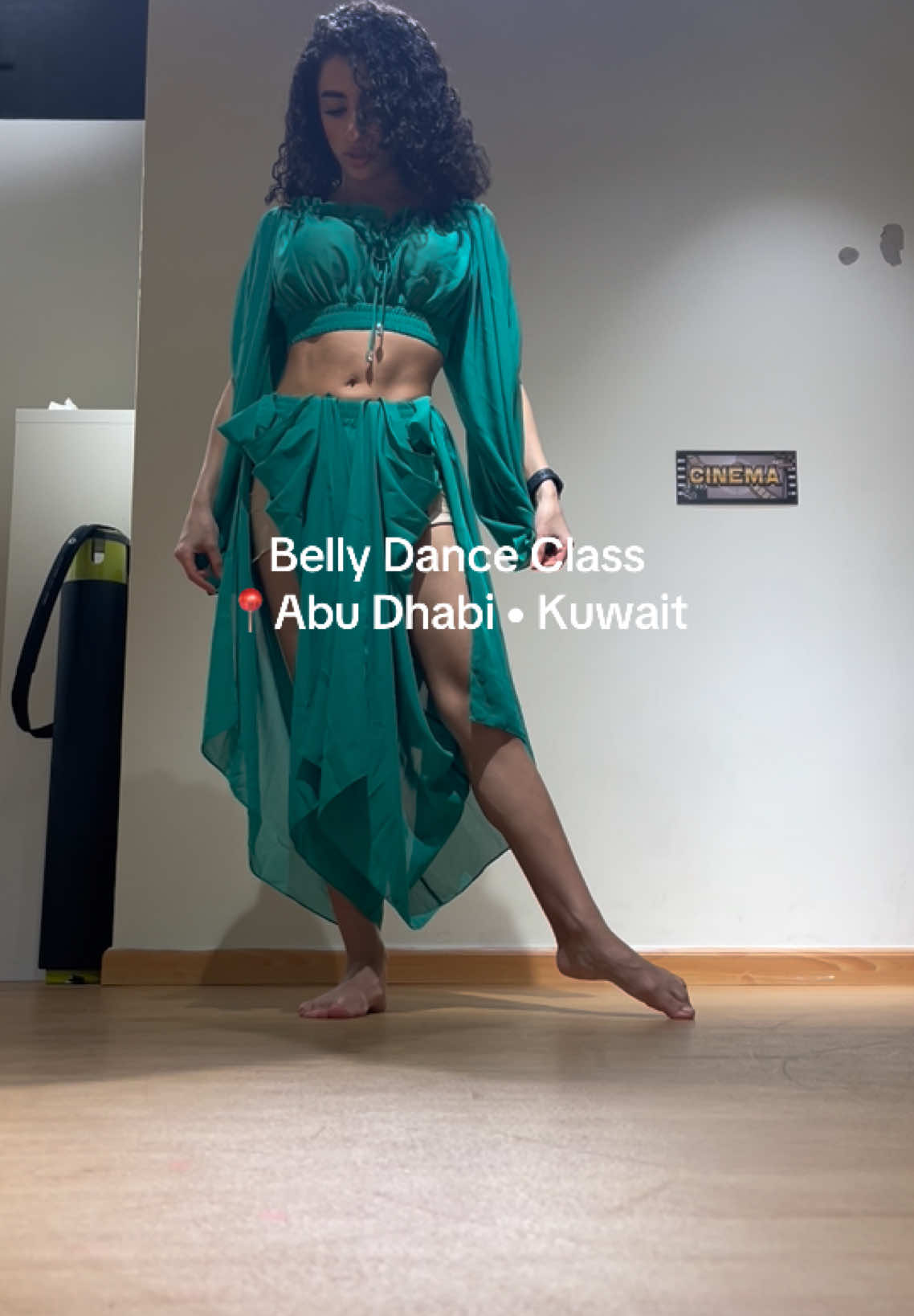 Booking on website 🔗 #fypシ #BellyDance 