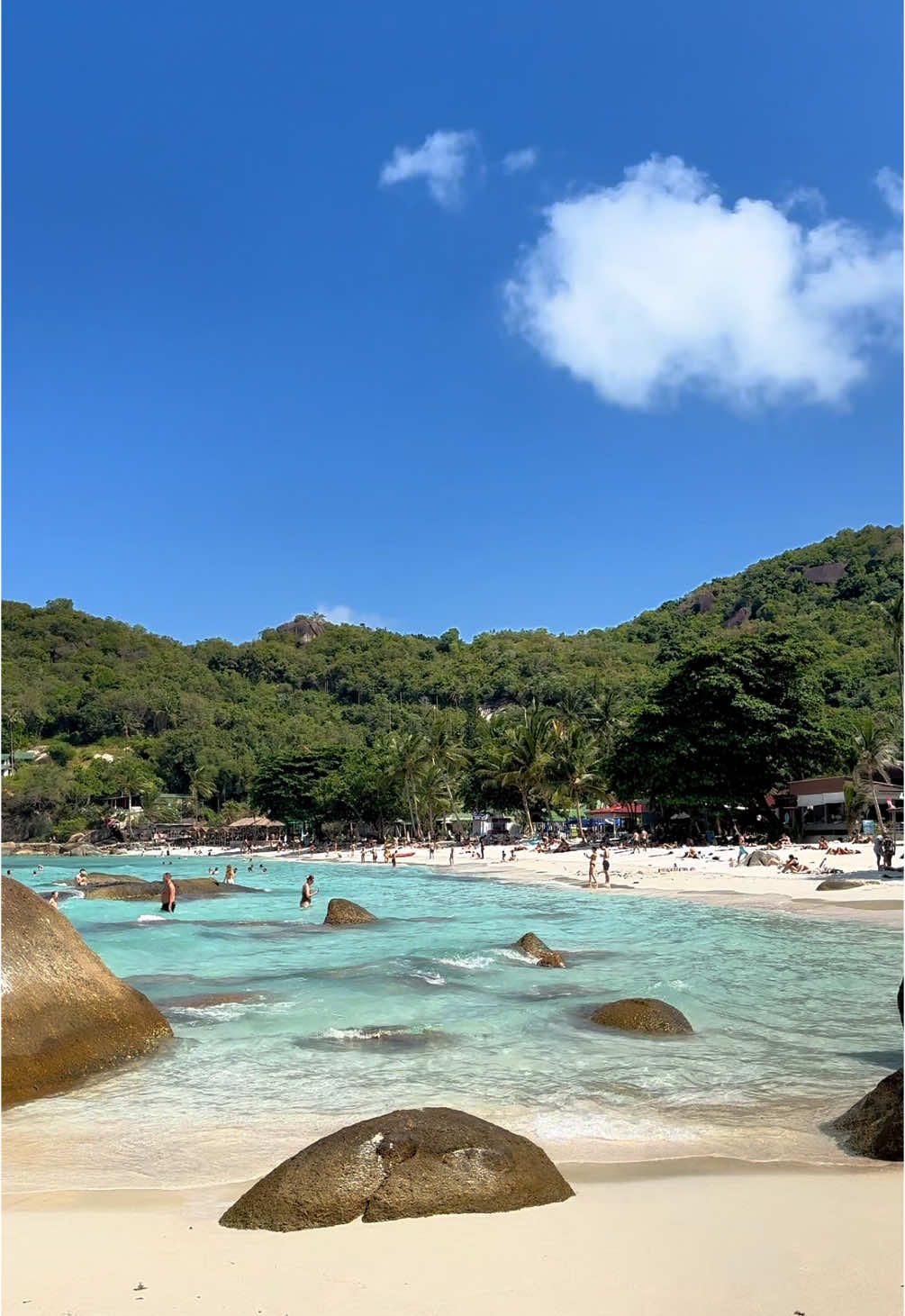 Silver Beach Koh Samui 🏝️🩵 #thailand #kohsamui #silverbeach #crystalbay #crystalbeach #palmtrees #tropical #island #april #2024
