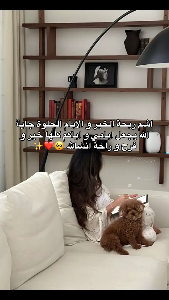 #foryoupage❤️❤️ #viralvideotiktok #fypp #fypviral #الشعب_الصيني_ماله_حل😂😂 #السعودية #الامارات_العربية_المتحده🇦🇪 #الكويت🇰🇼 #المغرب🇲🇦تونس🇹🇳الجزائر🇩🇿 