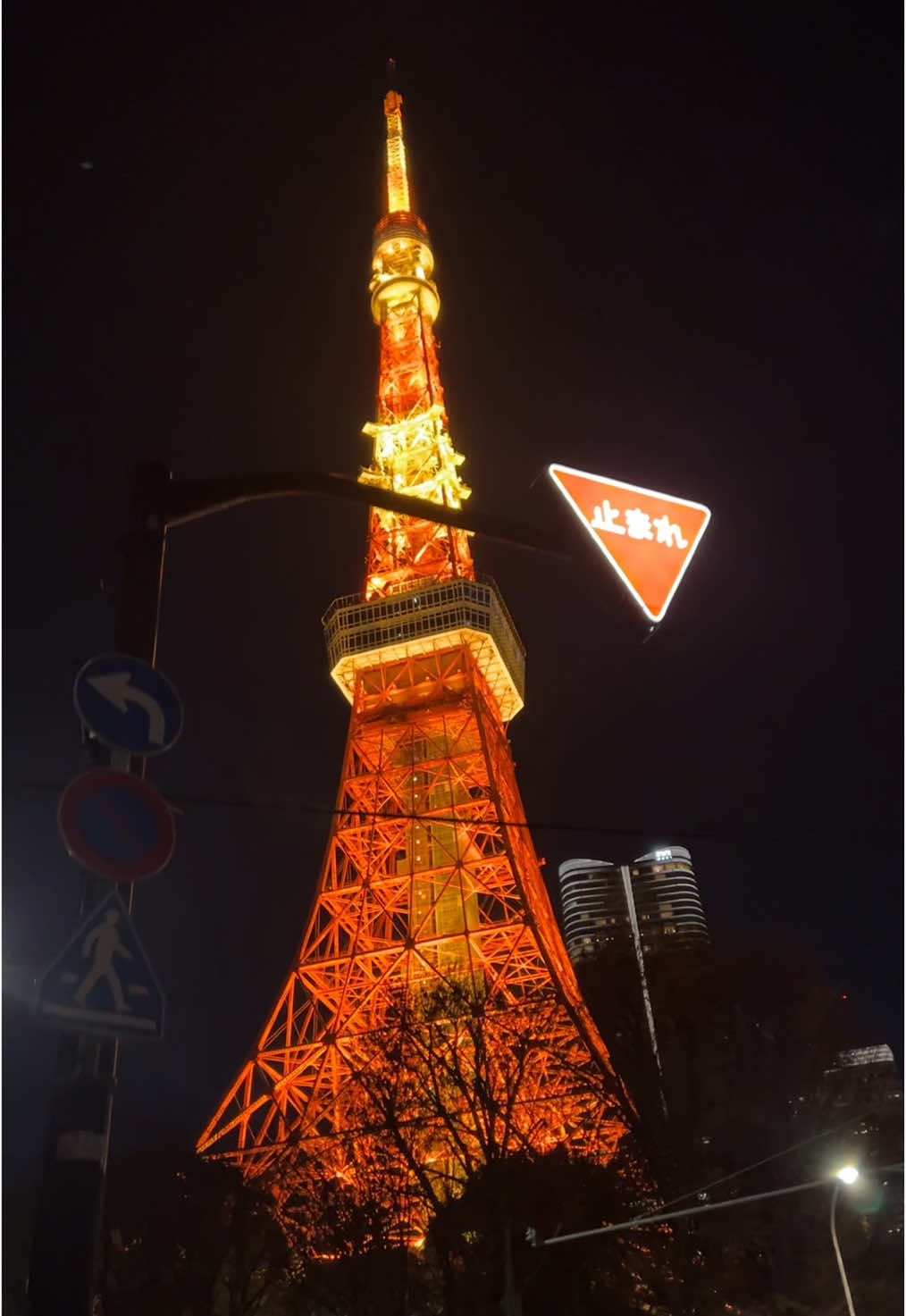 Tokyo tower or Eiffel tower 🇯🇵 #japan #tokyo #tokyotower #foryou #fypシ #viral 