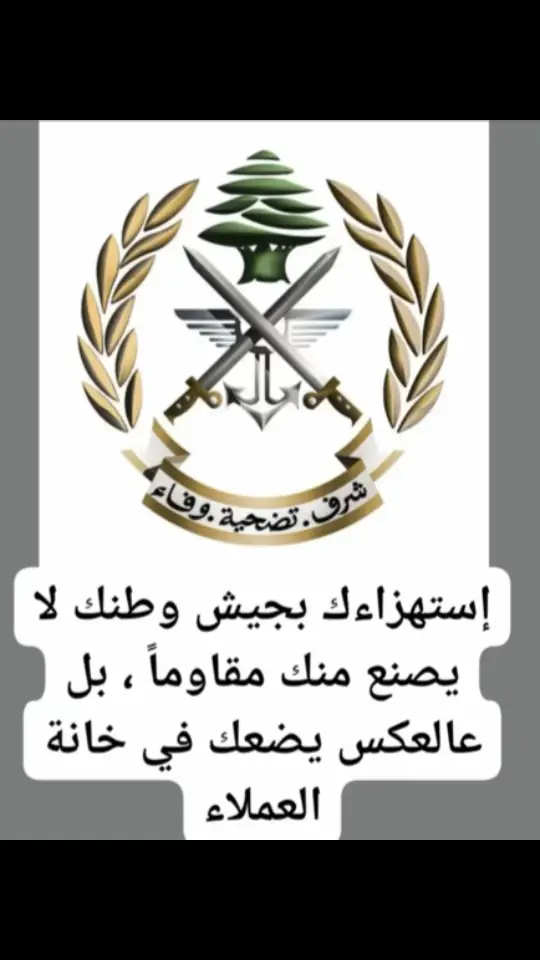 #الجيش_البناني🇱🇧 #مديرية_المخابرات #شرف_تضحية_وفاء #الجيش_البناني_خط_احمر🇱🇧 #شعب_الصيني_ماله_حل😂😂 #مالي_خلق_احط_هاشتاقات 