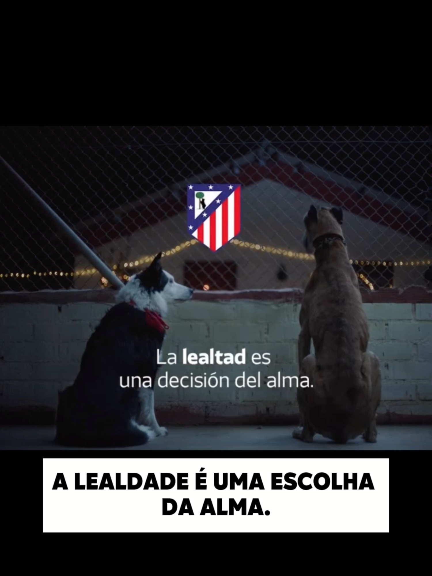 Não estamos a conseguir aguentar a mensagem de Natal do Atlético de Madrid!🥺 Tente não se emocionar...