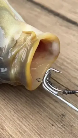 Fishing life hacks vs DIY trichs which one wins #fishinghooks #fishingline #fishingtips #fishingskills #fishing #lifehacks #fishingknots #bestfishingknots 