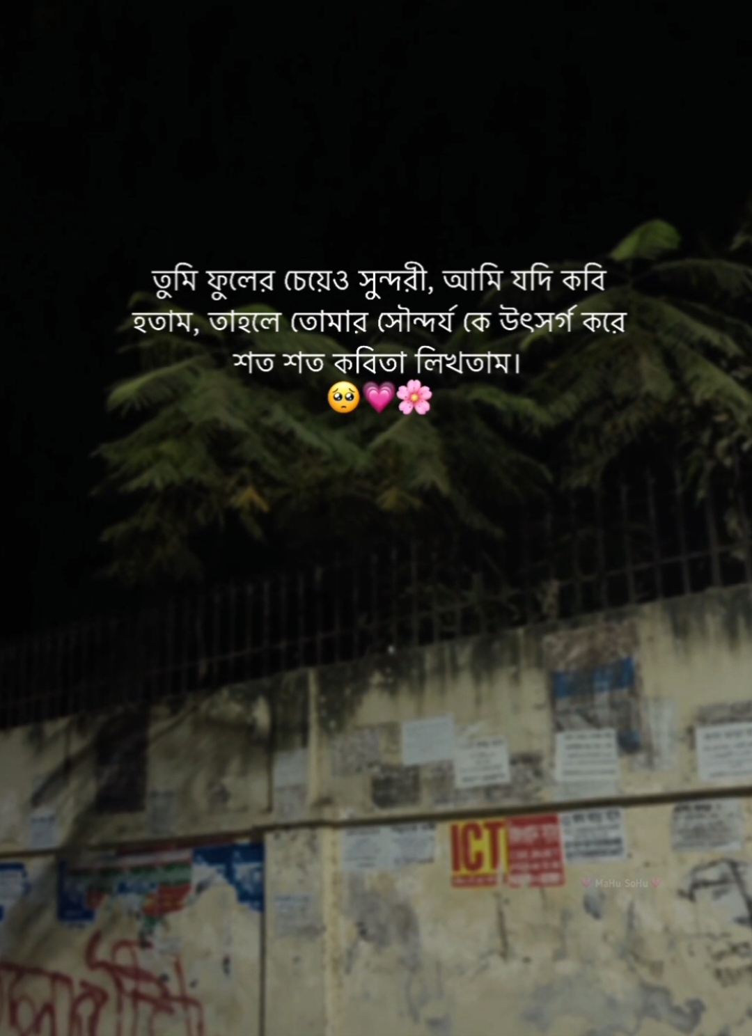 তুমি ফুলের চেয়েও সুন্দরী, আমি যদি কবি হতাম, তাহলে তোমার সৌন্দর্য কে উৎসর্গ করে শত শত কবিতা লিখতাম, 🥺💗🌸 #foryou #foryoupage #fyb #status #caption #writer #mahu_sohu #viral #bdthiktok 