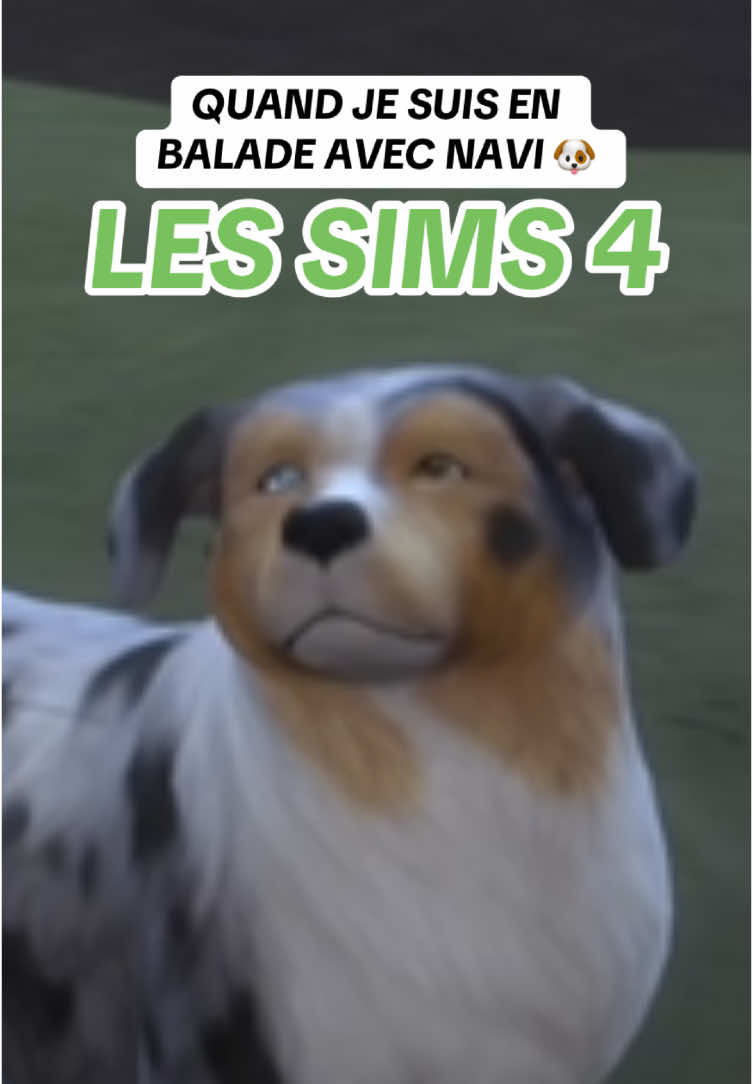 - Qui a connu Marcelino ? 🐶  Rejoins-moi sur Twitch ✨ (lien dans la bio) Tous les replays sont sur YouTube #flavienalexzander #lessims4 #sims #live #twitch 