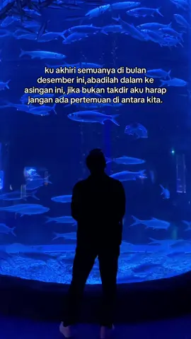 Tak ada lagi tentangmu,ku akhiri semuanya di bulan ini. #katakata #quotes #sad #storygalau #sadstory #sadvibes #sakithati #fouryou #fyp #fypシ #pisces #jakartaaquariumsafari 