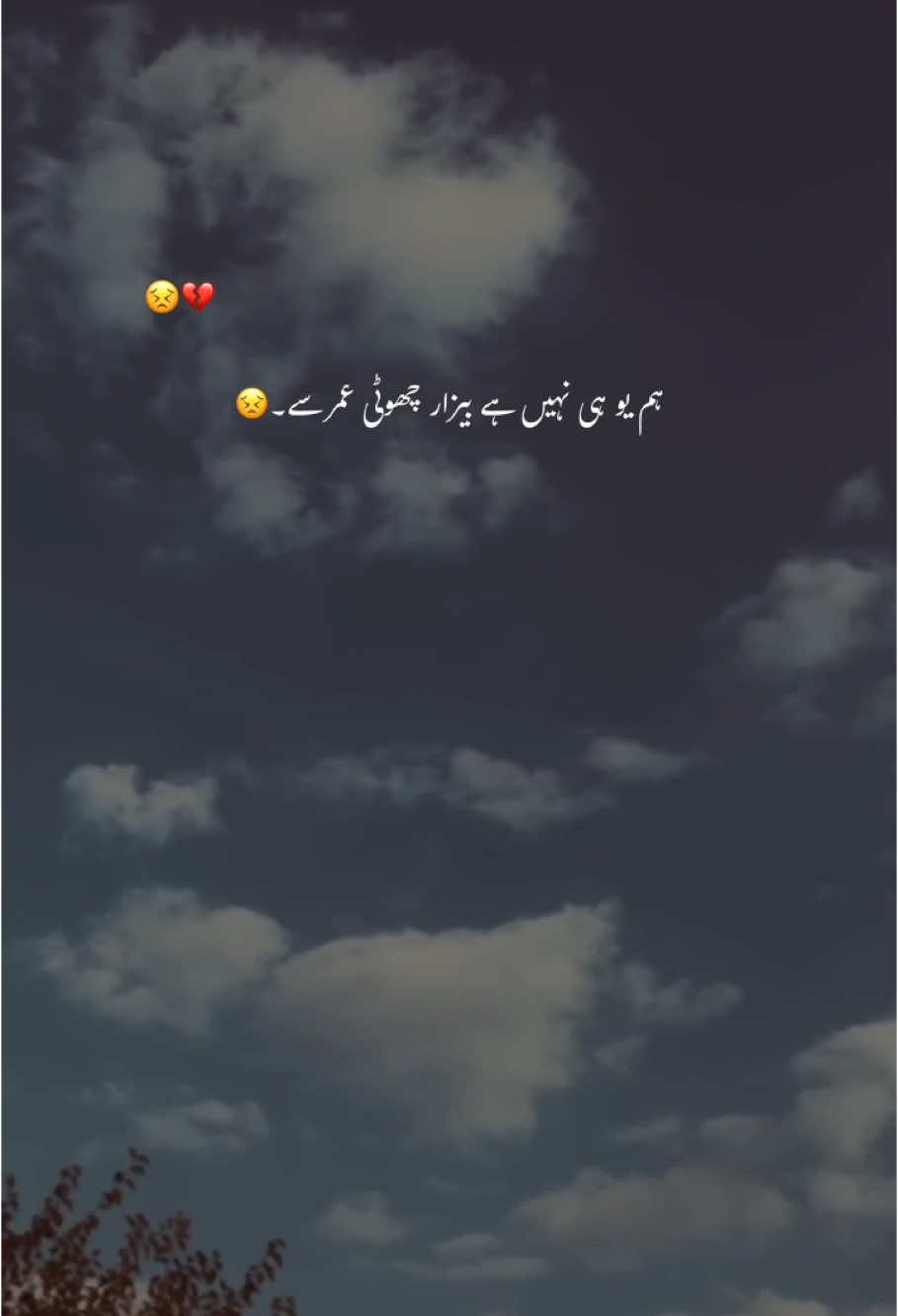 یو ہی نہیں بیزار ہم۔🫠💔 #foryoupage #fyp #aesthetic #grow #foryou #trending #urdupoetry 