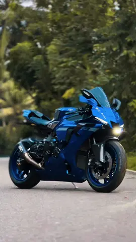 ඉතා දුර්ලඹ සත්ව විශේෂයක්♥️😎✌️ #downsouth🇱🇰 #yamahar1 #highcapacitysrilanka🇱🇰 #scproject #menda400sm #fypシ゚viral #ගාල්ල්________අපි♥️🌍 #southernsuperriders #r12022 #fypシ゚ #අධිබලැති 