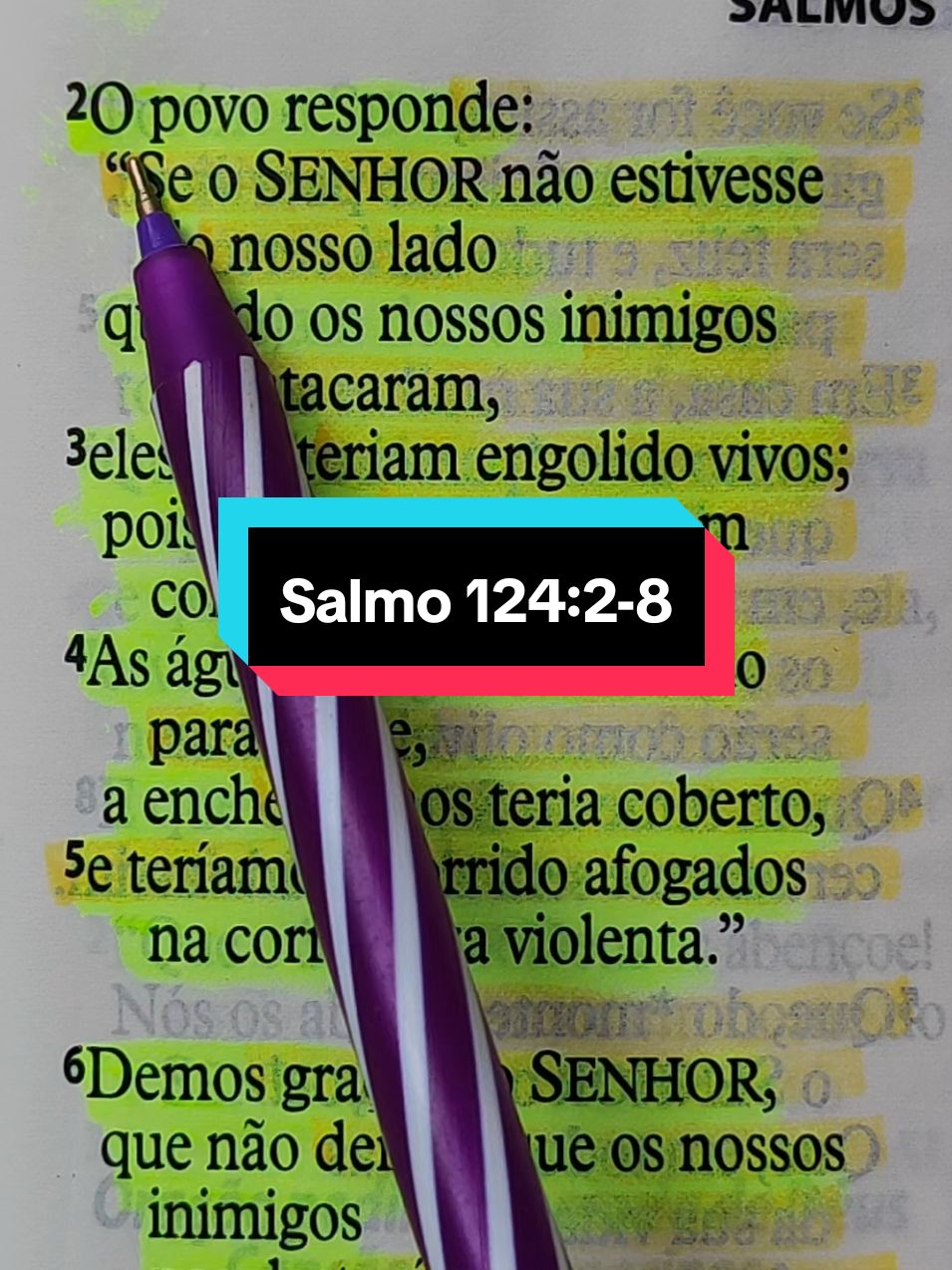 Salmo 124:2-8 #biblia #Deus #versiculosblibicos #versiculododia #fycristao #palavradeDeus #lendoabiblia #cristão #cristoviveemmim #salmos 