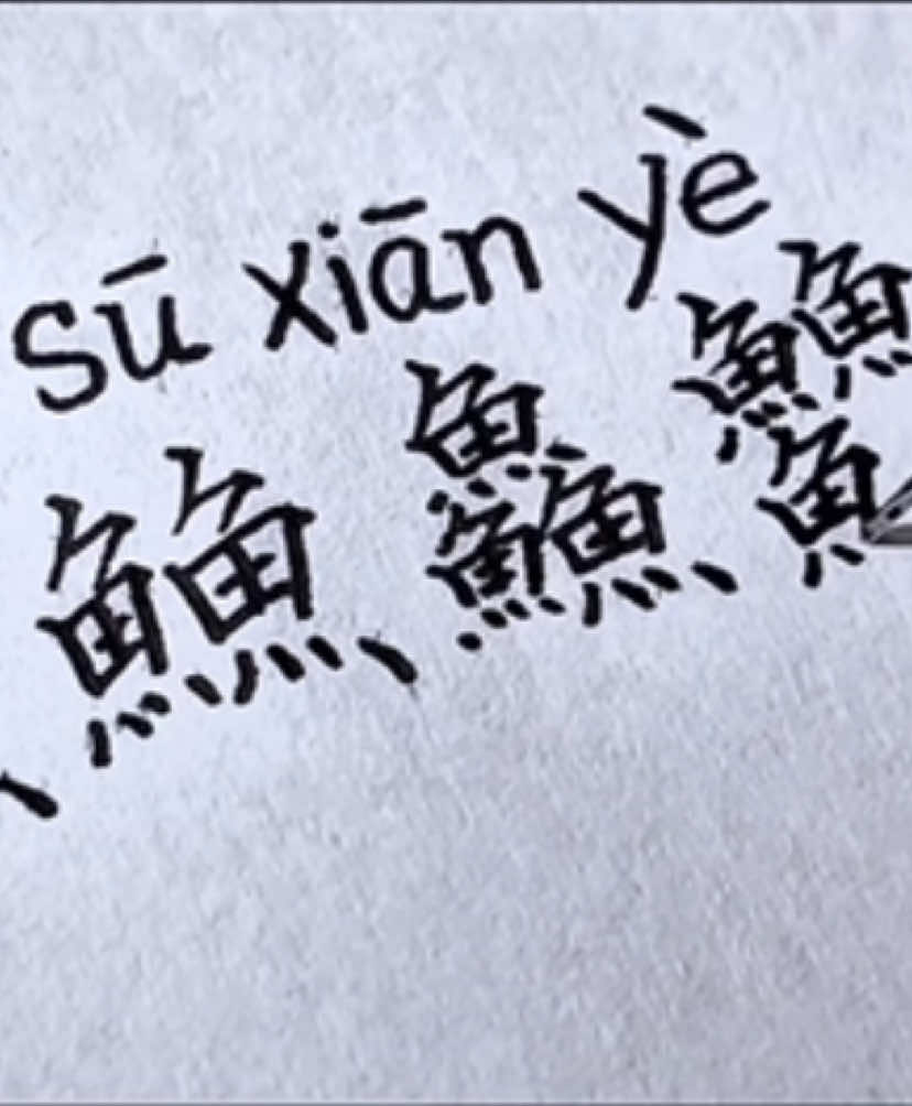 汉语不太难 cứ x2, x3, x4 chữ lên là ra chữ mới #tusovi #tiengtrung #LearnOnTikTok #tieuhongthu 