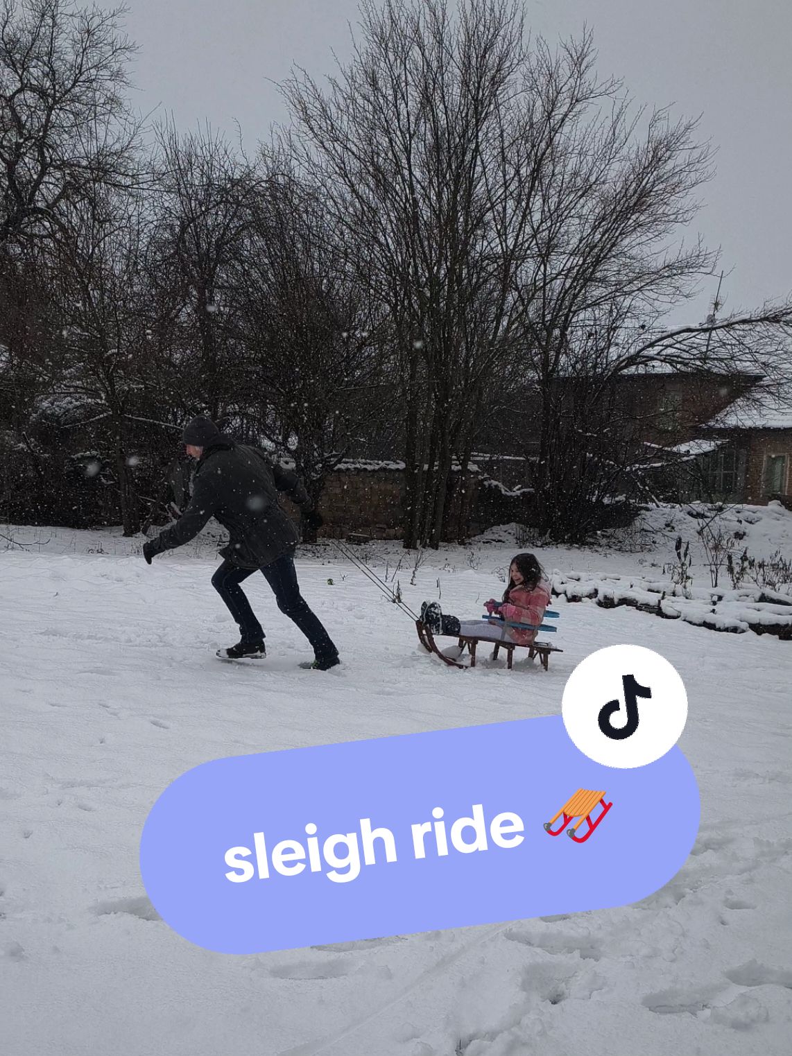 Sleigh ride in the snow! ❄️ We got gifted by a friend last year a super vintage traditional sleigh 🛷 So much fun! the look on Nix's face is priceless 🥰 #lifeinbulgaria #bulgaria #villagelife #uktobulgaria #sleighride 