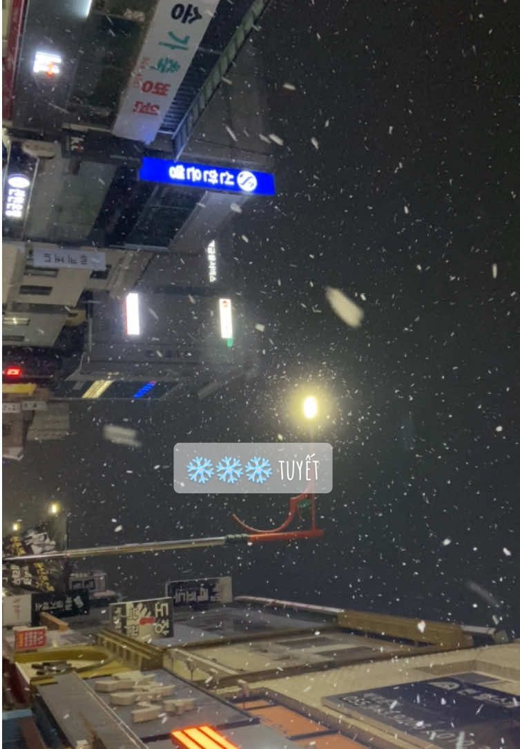 Tuyết ❄️🇰🇷 #ddaily #tiktok #snow #tiktokviral #trending #virral #xuhuong #korea #tiktokdaily #daily #Lifestyle