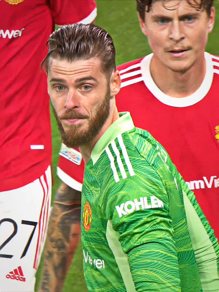 Just give me my number 1 back 🇪🇸🧤 • Birthday Post • #degea #manchesterunited #fyp 