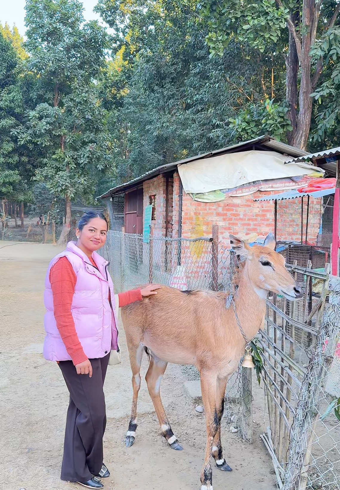 The famous park of lahan hathidah #hathidah #hathidahparklaha #lahanpark #touristplace #apsanasheikh #lovethenature #mylifestyle #myscuty