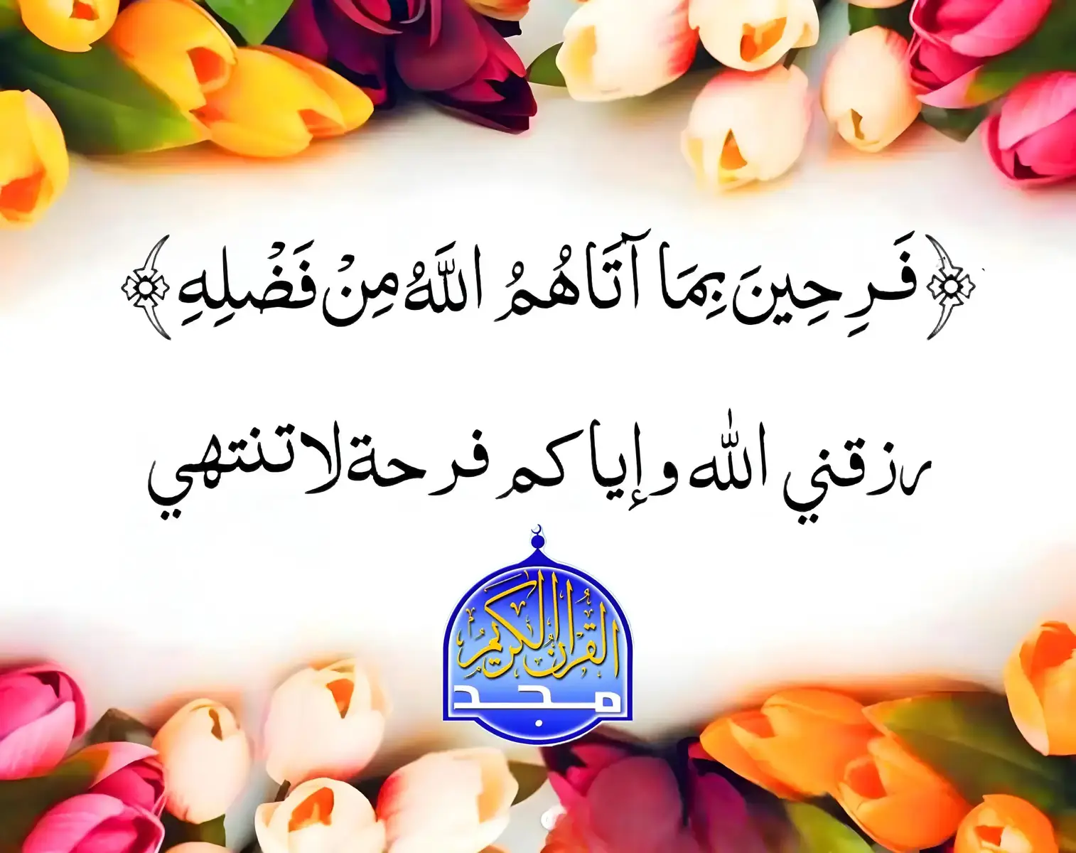 قناة المجد للقرآن الكريم قران يتلى اناء الليل واطراف النهار😌☝️#quran_alkarim #قران_كريم #TravelTikTok #قناة_المجد #اكسبلور_قران #تلاوة_خاشعة 