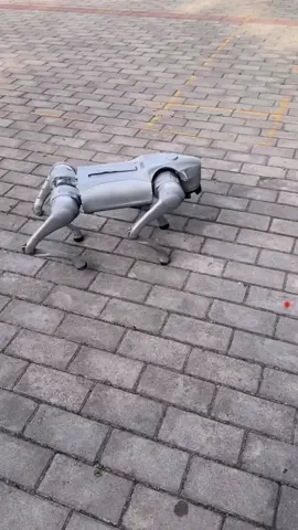 #Instories Civilian version of robot dog，We accept your reservation🤖