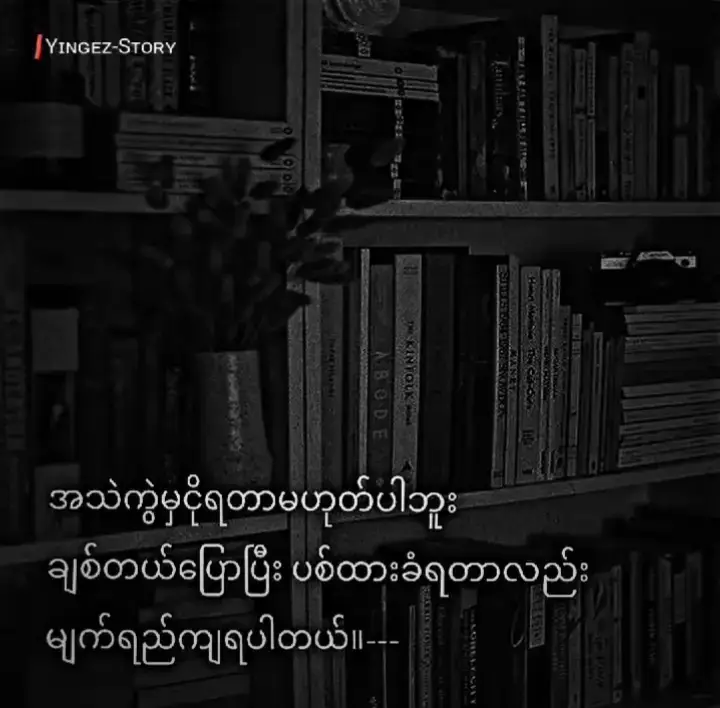 #ပြစ်ထားခံရတဲ့ခံစားချက်ကိုကိုယ်တွေဘဲသိတယ် #crdစာသား #ဒီတစ်ပုဒ်တော့fypပေါ်ရောက်ချင်တယ် 