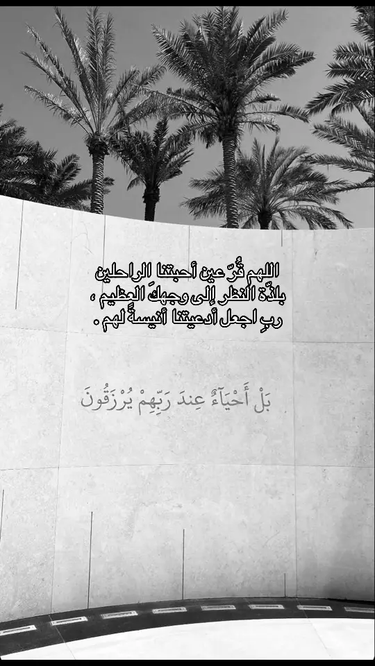 #قران #علي_هذال_علي #صدقه_جاريه_للمرحوم_علي_هذال_السبيعي #صدقه_جاريه_لجميع_اموات_المسلمين #صدقه_جاريه #عبدالرحمن_مسعد #الوتر #ادعيه_اذكار_تسبيح_دعاء_استغفار #قران_كريم #quran #الموت #الموت_حق #ادعيه_اسلاميه #يوم #الجمعة #يوم_الجمعه_خيرا_من_كل_يوم 