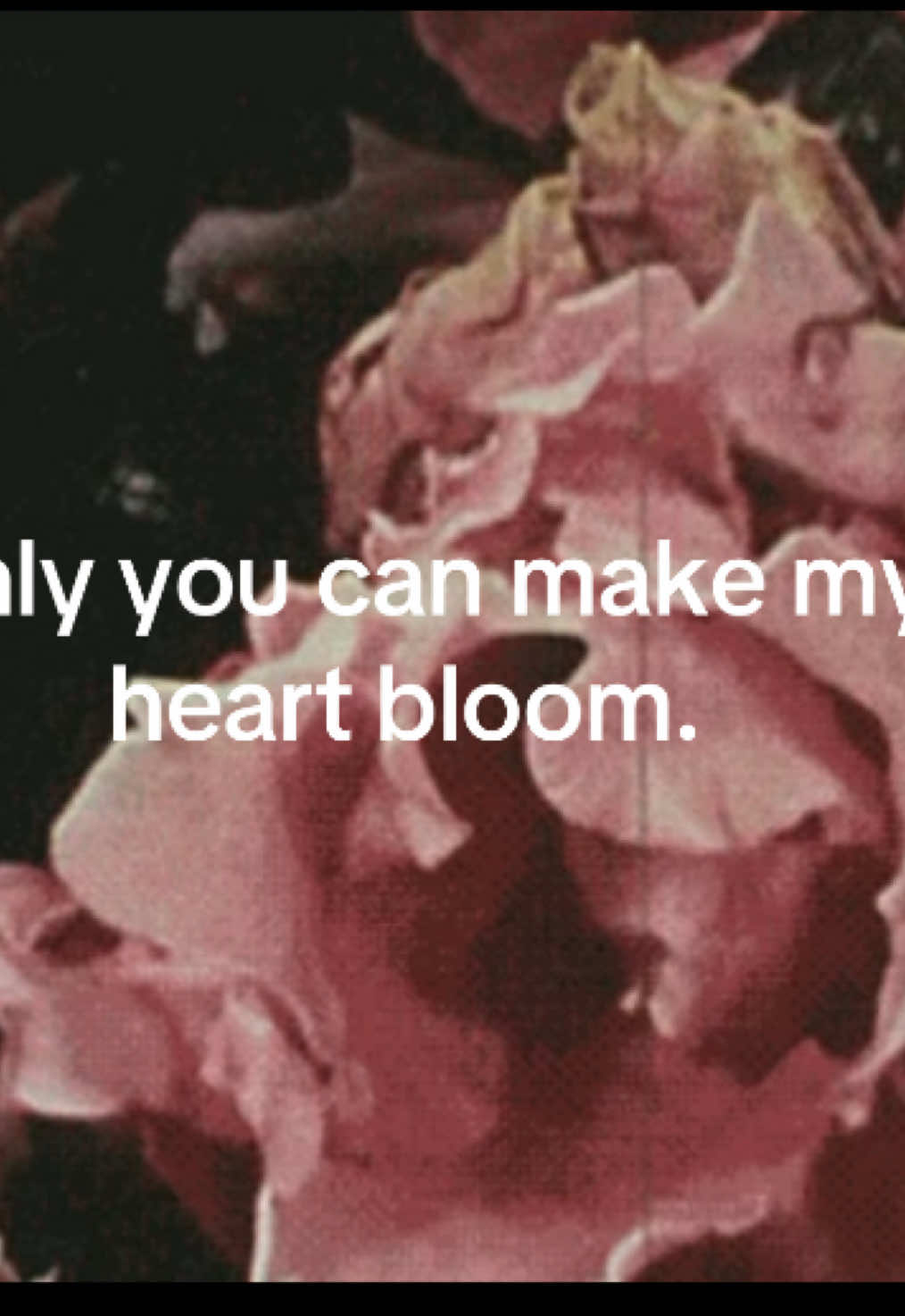 #foryou #lovequotes #flowers 