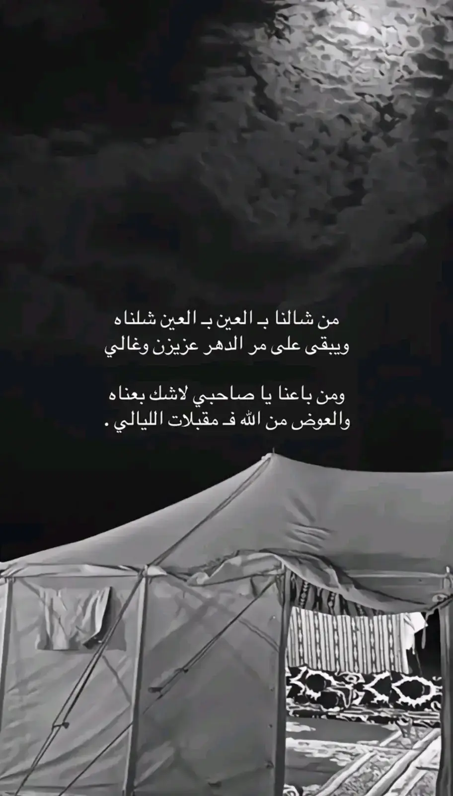 #قصايد_شعر_خواطر #فيديوهاتي_تصاميمي🎶🎬#explore #جبراتت📮١6  #مجرد________ذووووووق🎶🎵💞 #capcu 