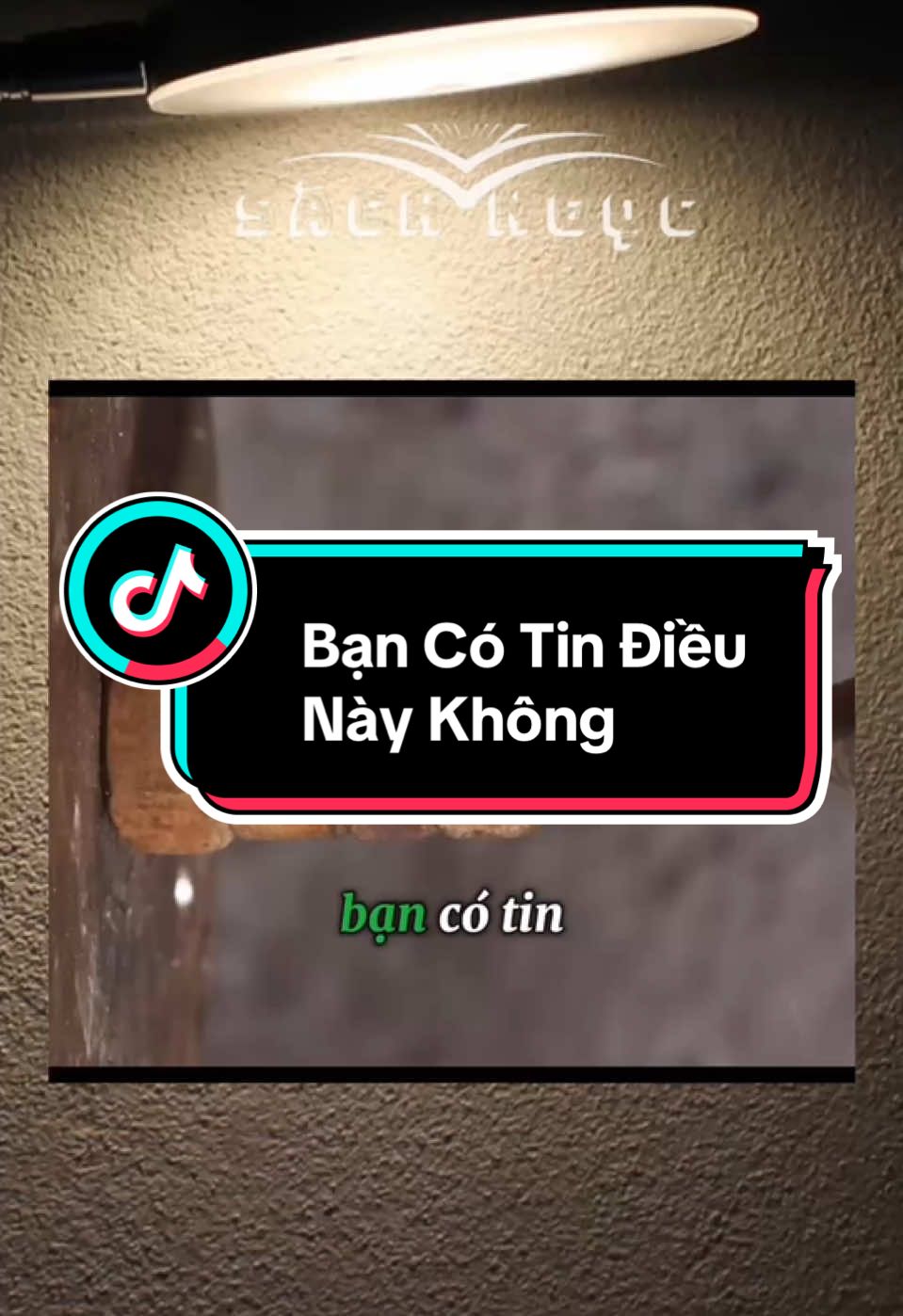 Bạn Có Tin Không #sachngoc #xuhuong #thinhhanh #kynangsong #docsach 