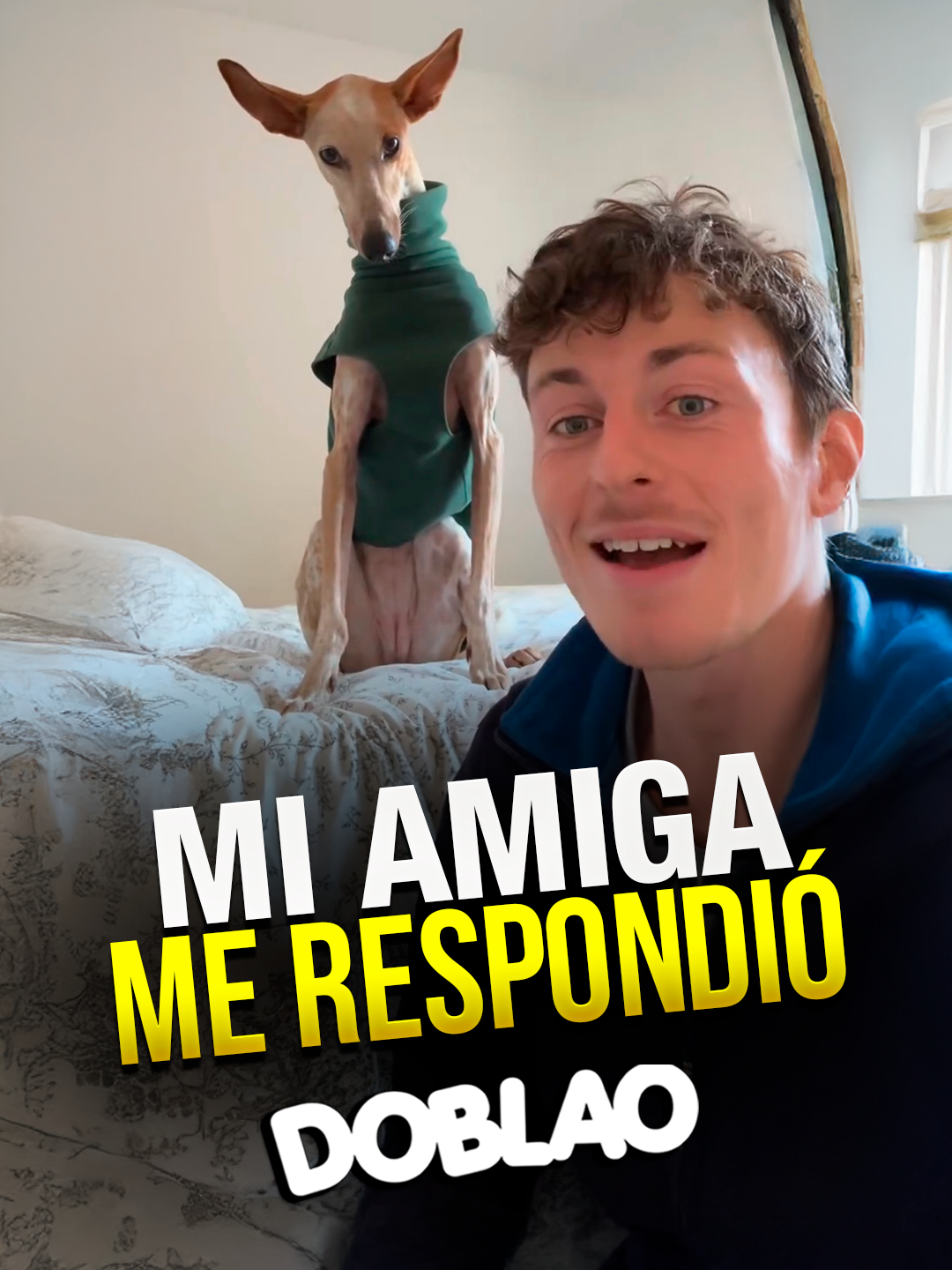 Mi Amiga me RESPONDIÓ #Doblao #Estadoblao #animales #perros #animalesquehablan #ex #amiga 📹: lifelikecharlie