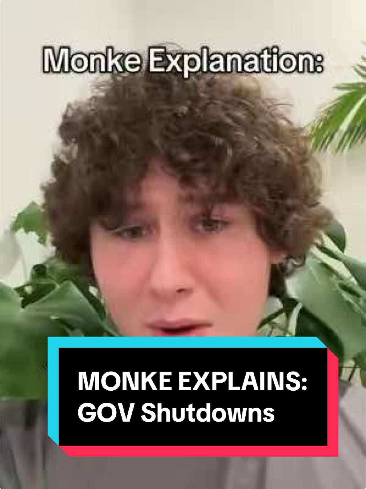 #MONKEEXPLAINS Not all monke pick banana or hunt lions- some teach monke or build hut. MAKE SURE TO JOIN THE TRIBE #YOURFAVORITEGUY #MONKEEXPLANATION #MONKEEXPLANATION #federalbudget #congress #greenscreenvideo 