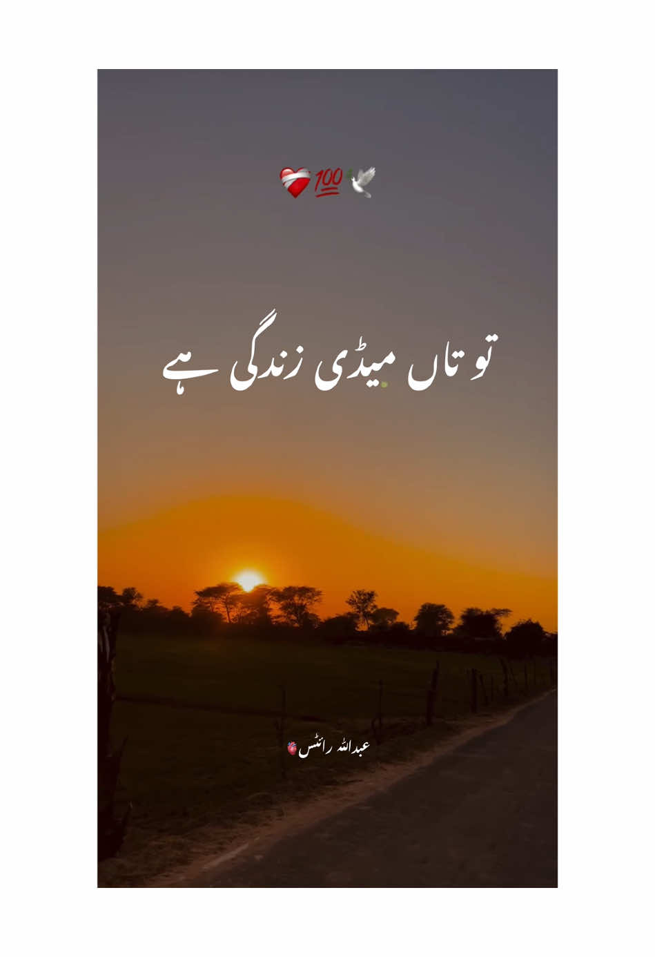 Tu tan medi zindagi hy🥹❤️‍🩹 . . . #فاریو  #سرائیکی_سونگ  #سرائیکی_سنگت  #سرائیکی  #سرائیکی_جھوک 