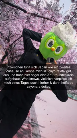 Inzwischen fühlt sich Japan wie ein zweites Zuhause an. Kenne mich in Tokio relativ gut aus und habe hier sogar eine Art Freundeskreis aufgebaut. Who knows, vielleicht verpiss ich mich eines Tages hierher & dann heißt es sayonara doitsu! 🫰#sayonaradoitsu #japan #anime #iblali #manga @Vik 