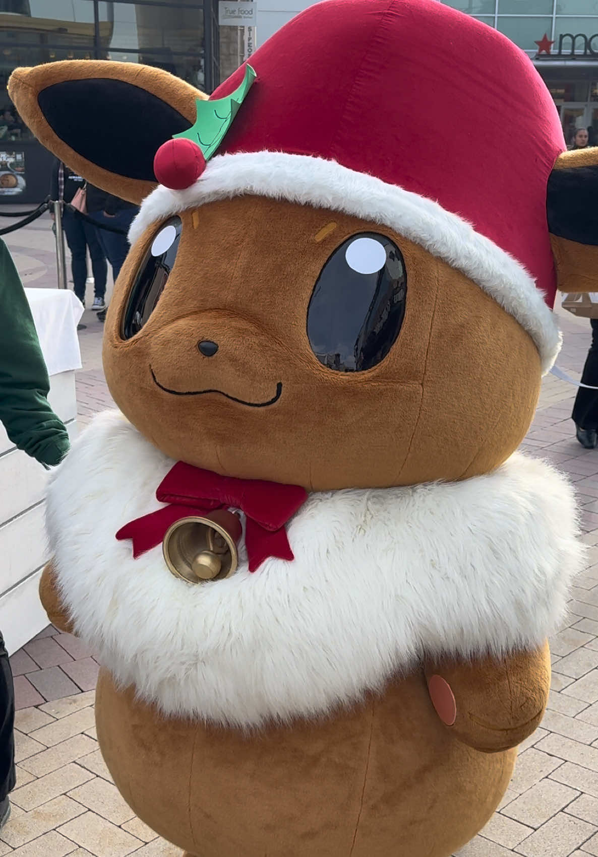 #pokemon #eevee #holidays #christmas #pokemoncommunity #fyp