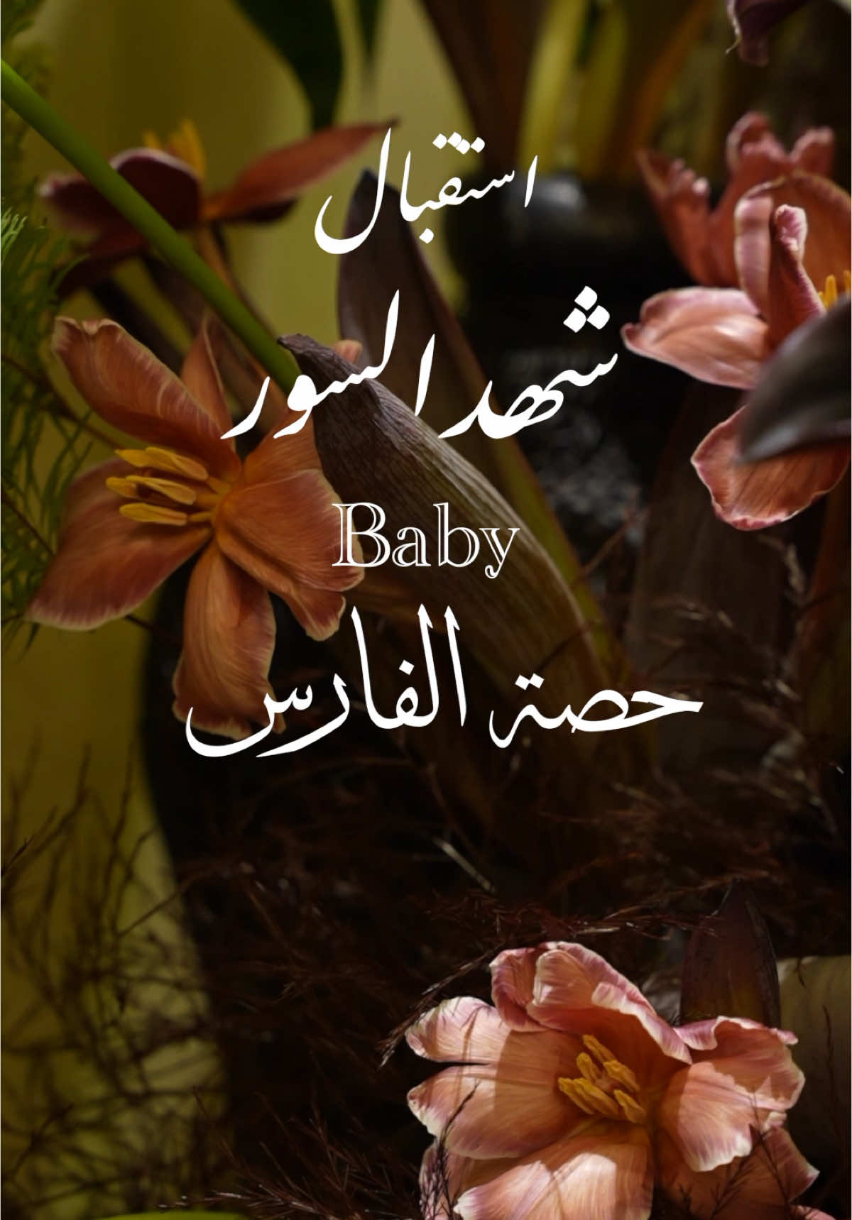 استقبال baby حصه  #fupシ_foryou #fupシ #استقبال #استقبالات #استقبال_فخم #مصوره_فوتوغرافي #ترند #موسيقى #موسيقى #مصورات #مصورات_جدة #الكويت #عرس #دزة #دزة_معرسنا 