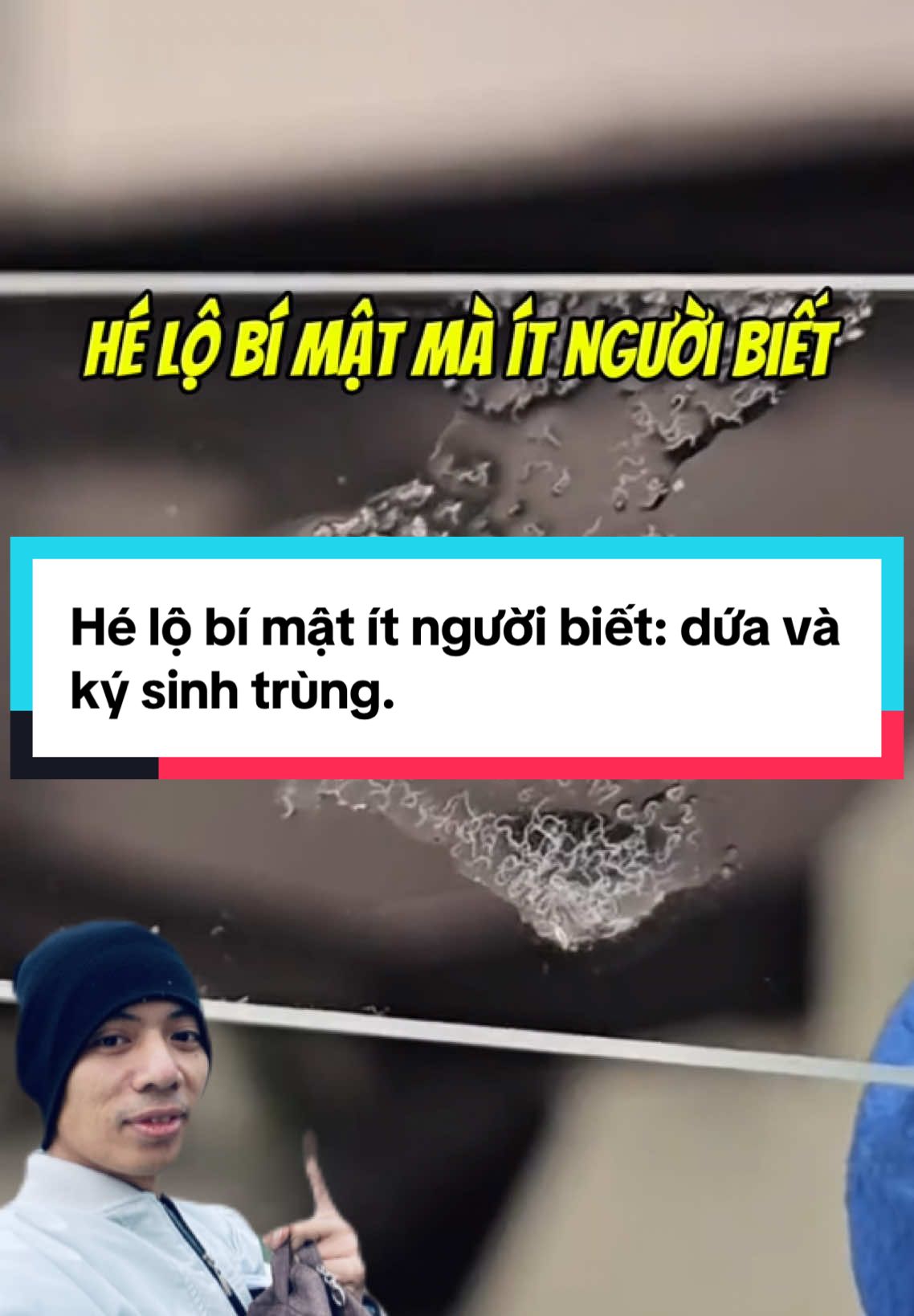 Hé lộ bí mật ít người biết: dứa và ký sinh trùng. #tuyen_ruotkhoe #thaidoc #kysinhtrung #ngua #medaymanngua #giunduachomeo #sancho 